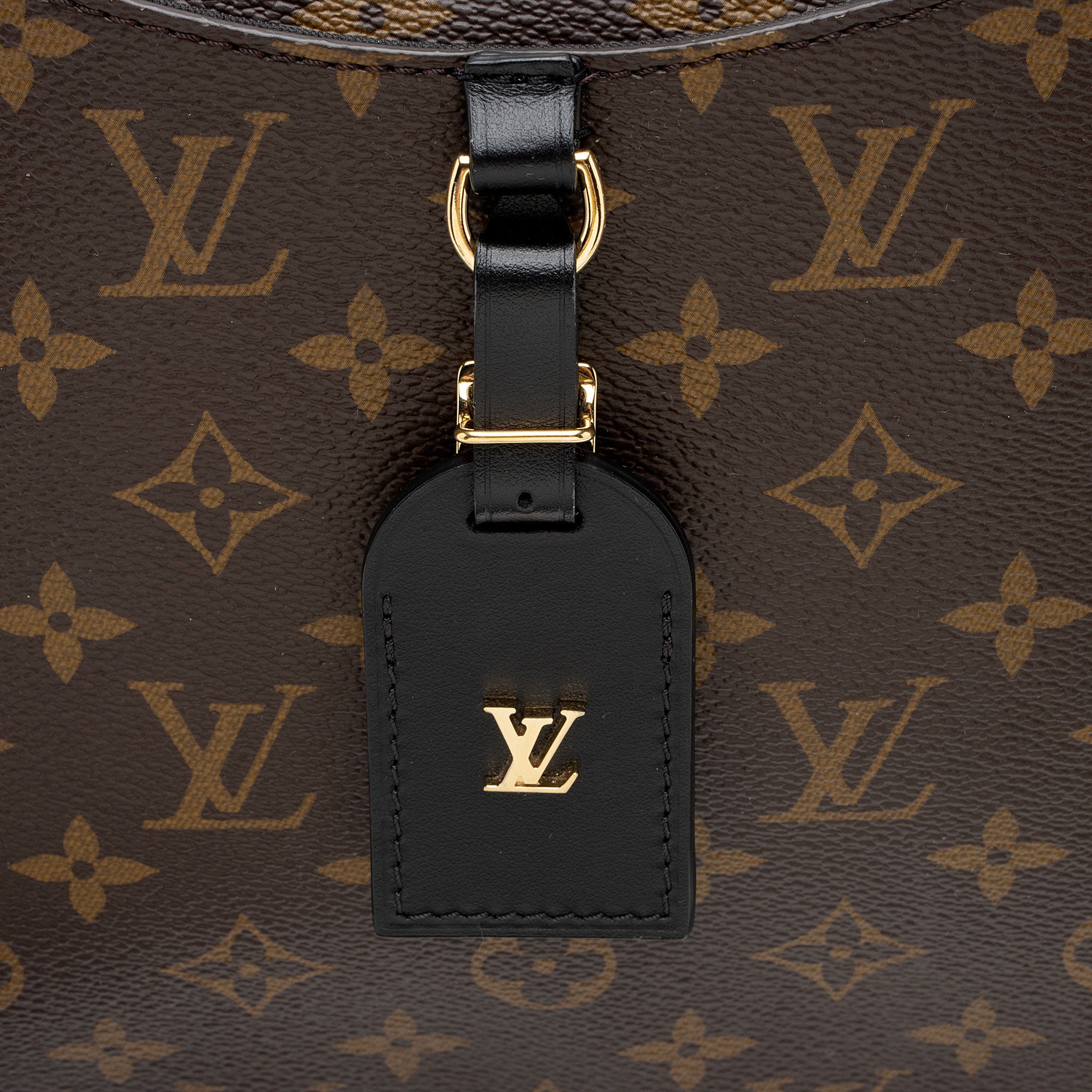 Louis Vuitton Monogram Canvas Odeon MM NM Shoulder Bag