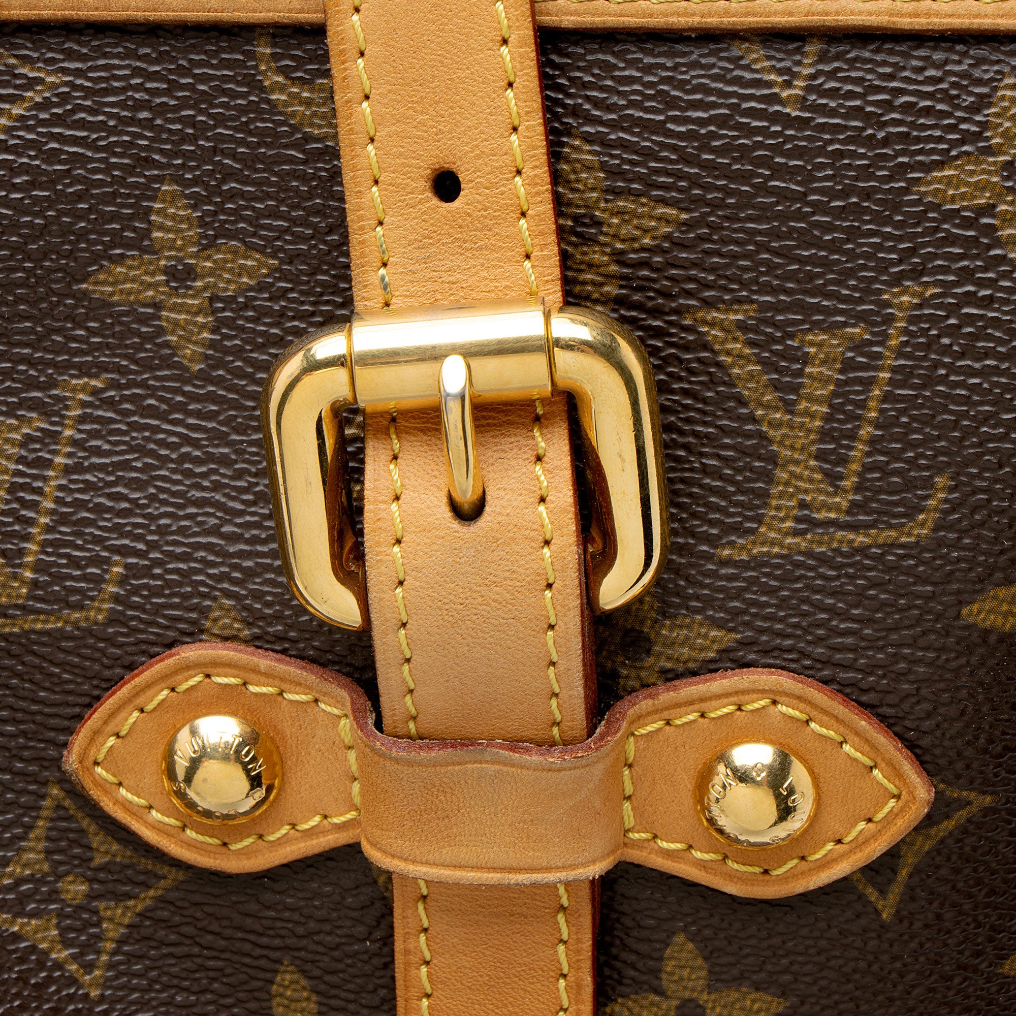Louis Vuitton Monogram Canvas Palermo GM Tote