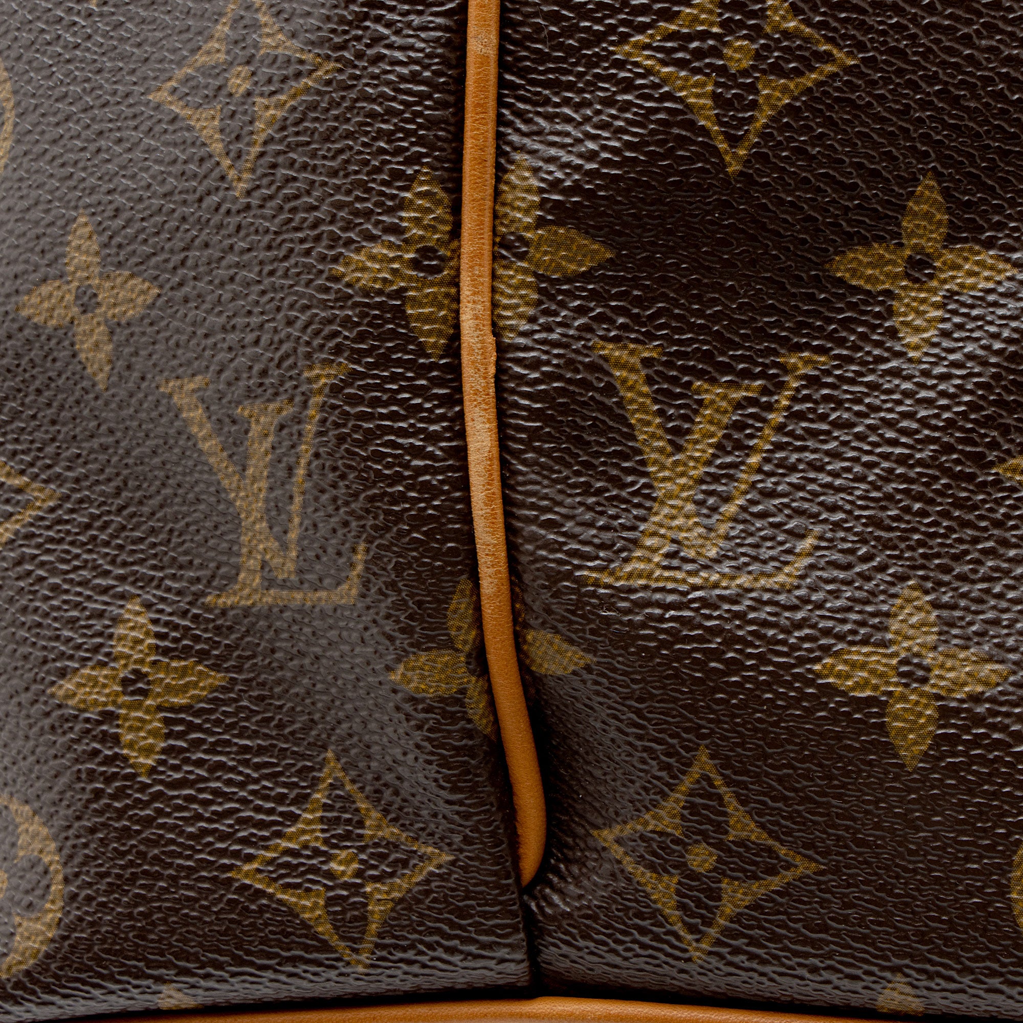 Louis Vuitton Monogram Canvas Palermo GM Tote