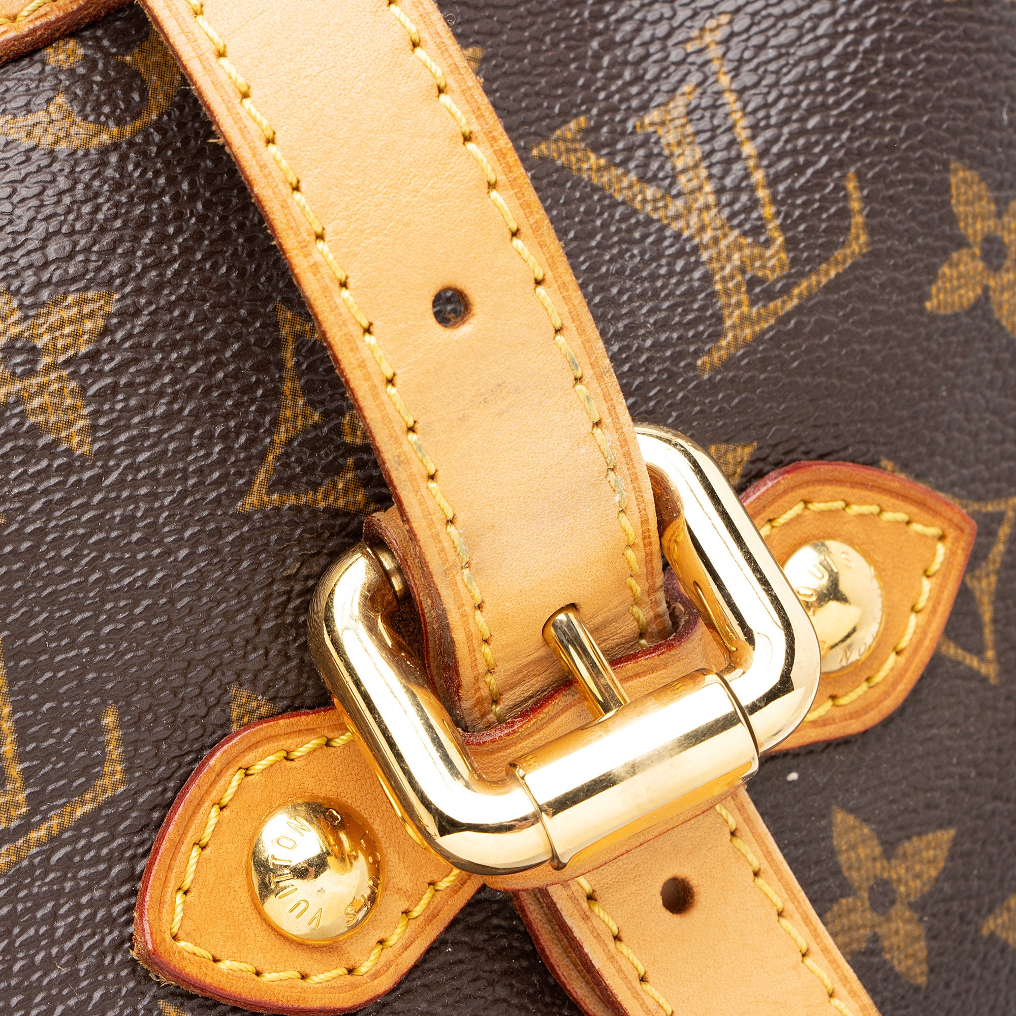 Louis Vuitton Monogram Canvas Palermo GM Tote