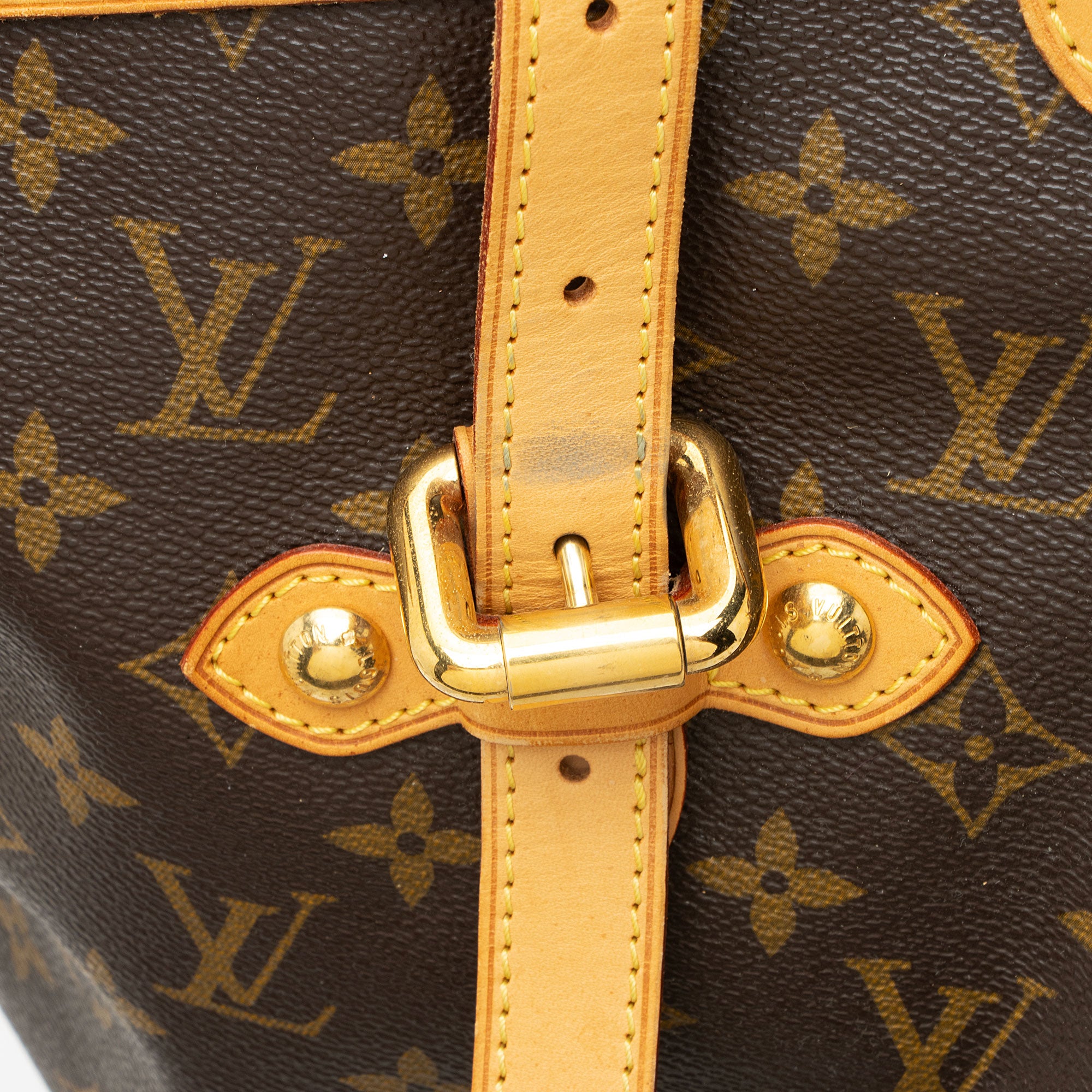 Louis Vuitton Monogram Canvas Palermo GM Tote