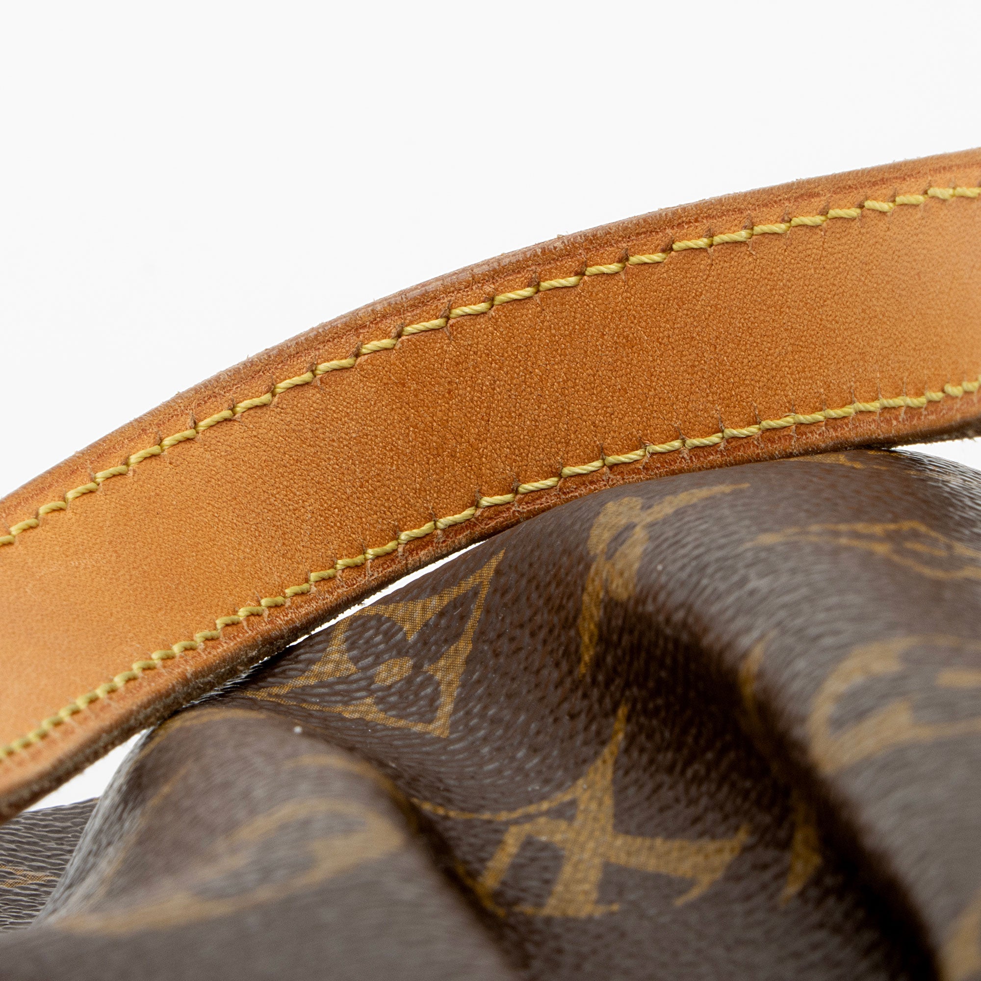 Louis Vuitton Monogram Canvas Palermo PM Tote (SHF-sLVgIT)