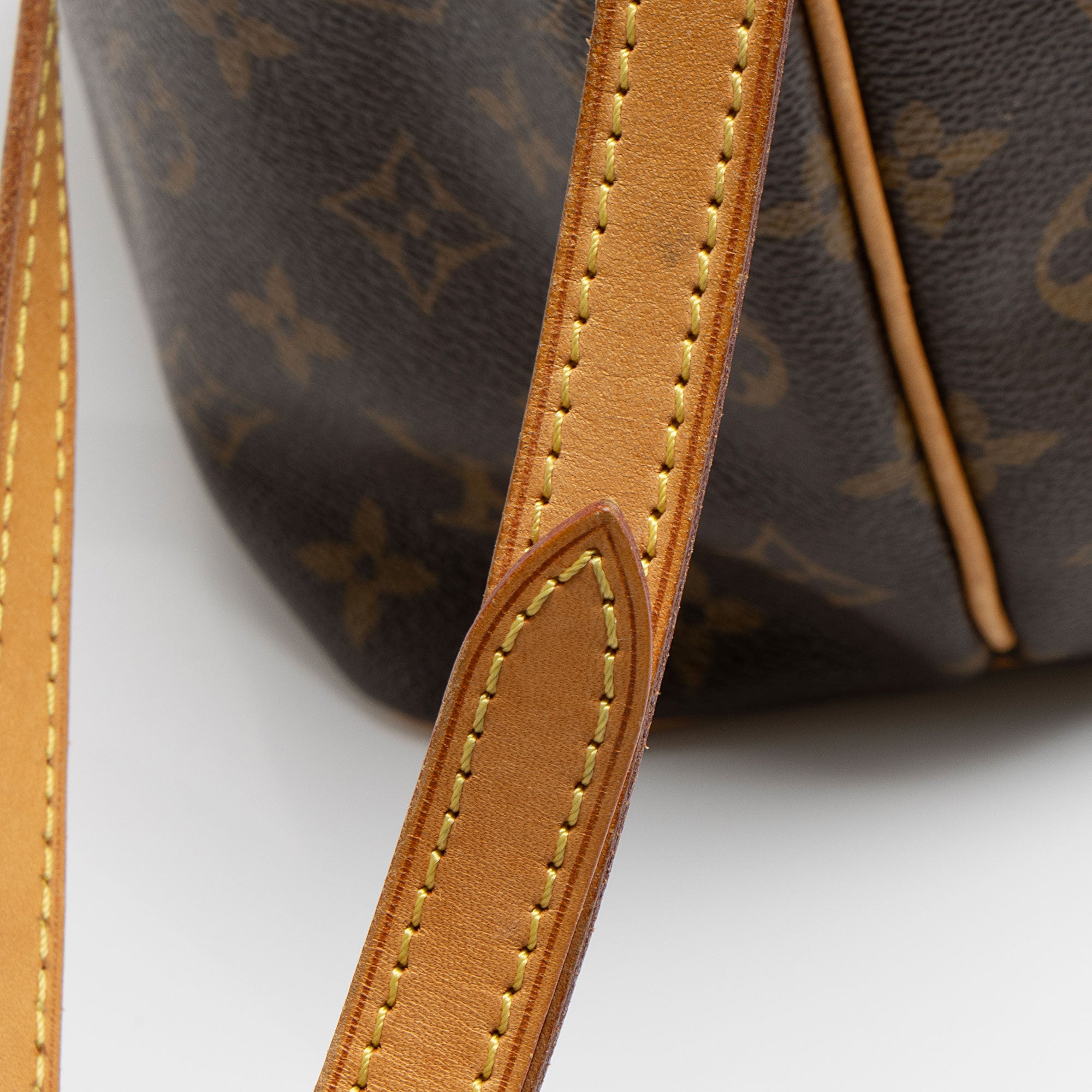 Louis Vuitton Monogram Canvas Palermo PM Tote (SHF-WZkqH8)