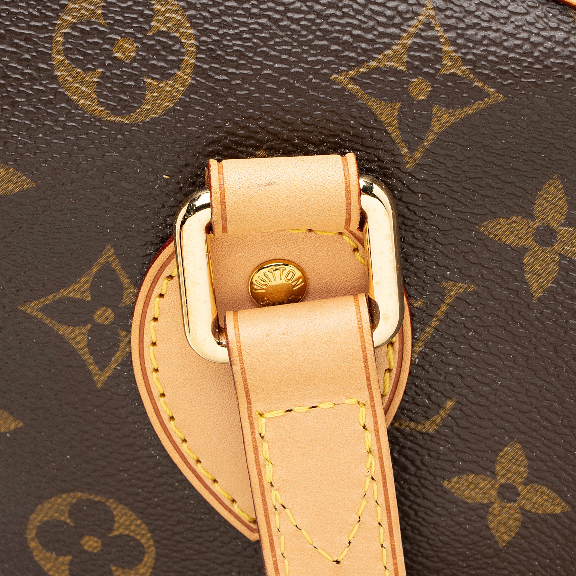 Louis Vuitton Monogram Canvas Palermo PM Tote