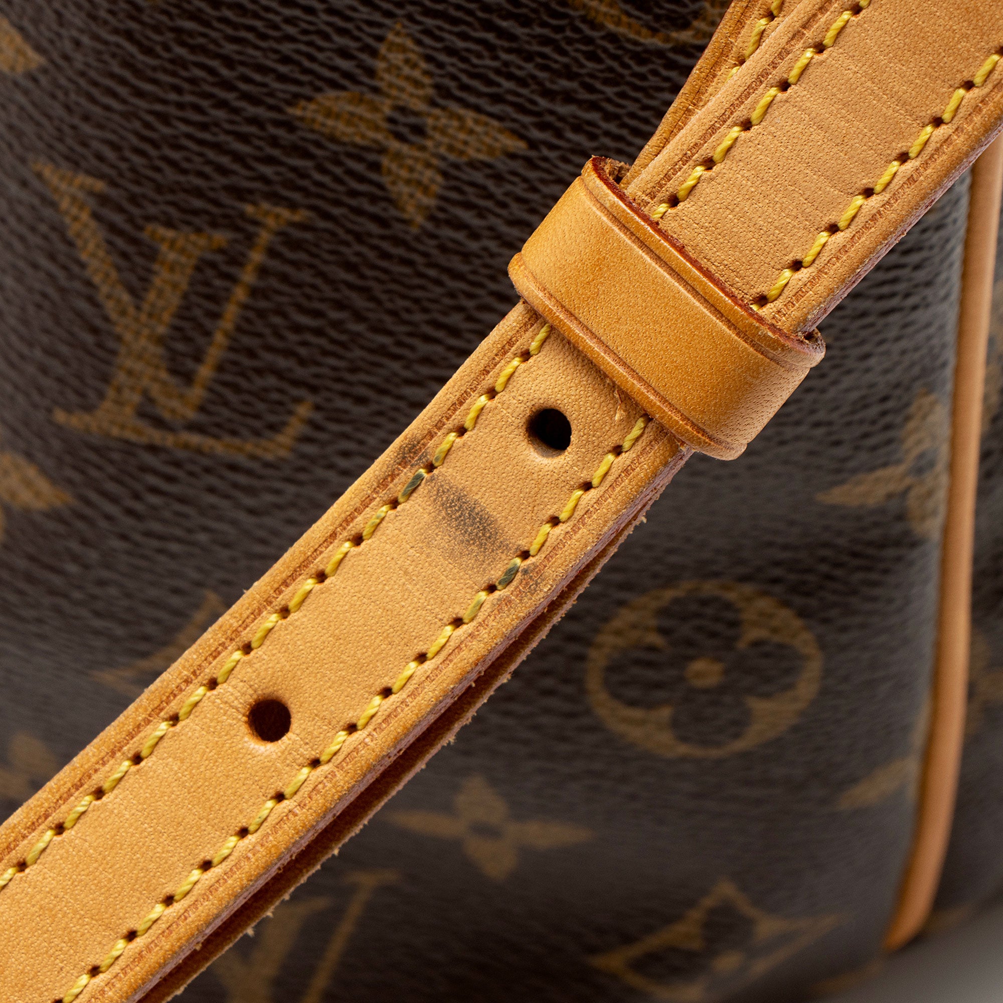Louis Vuitton Monogram Canvas Palermo PM Tote