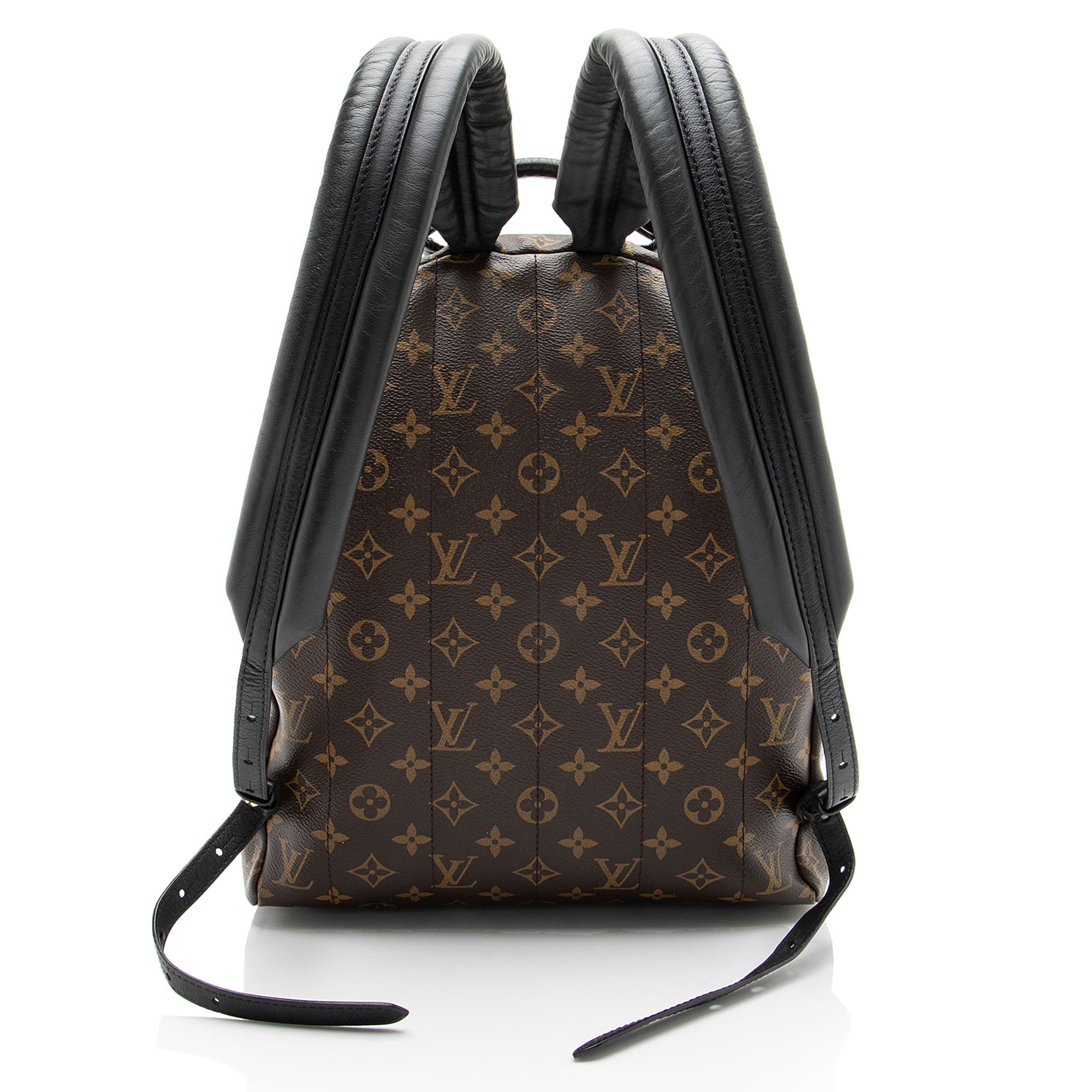 Louis Vuitton Monogram Canvas Palm Springs MM Backpack