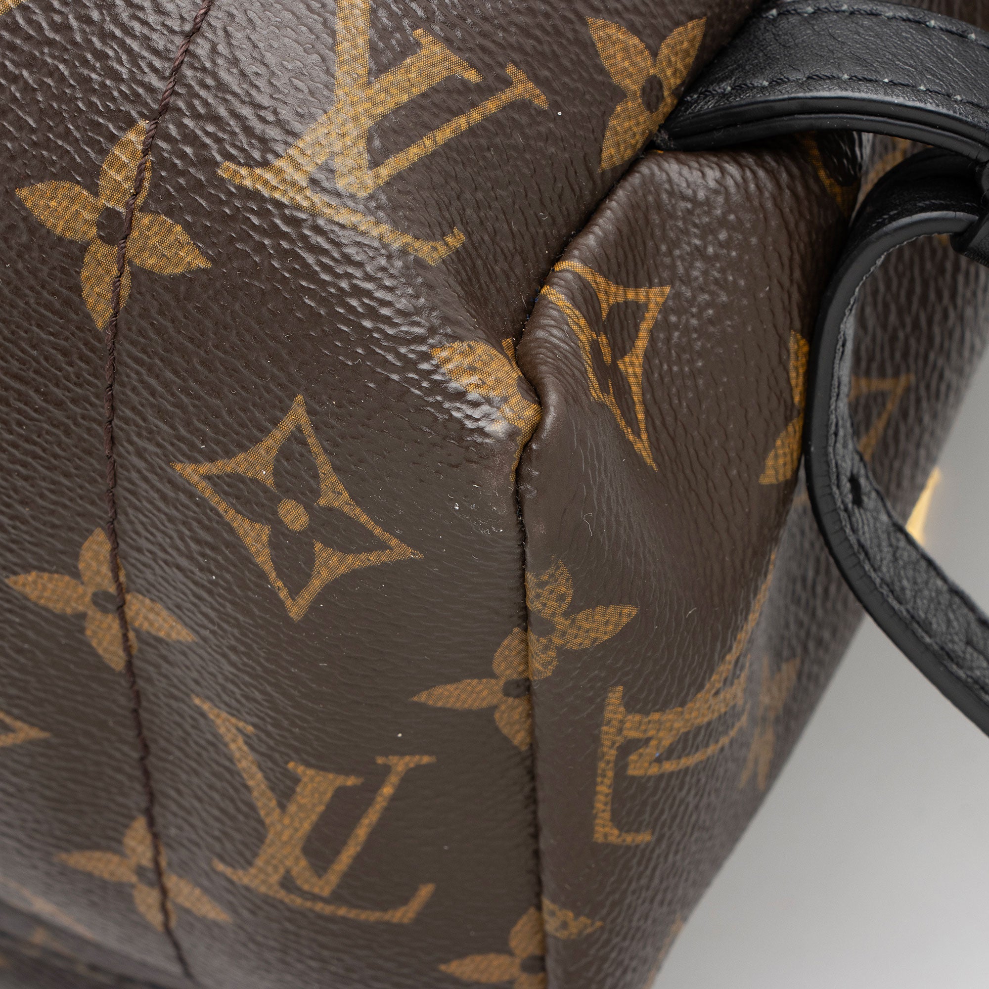 Louis Vuitton Monogram Canvas Palm Springs MM Backpack