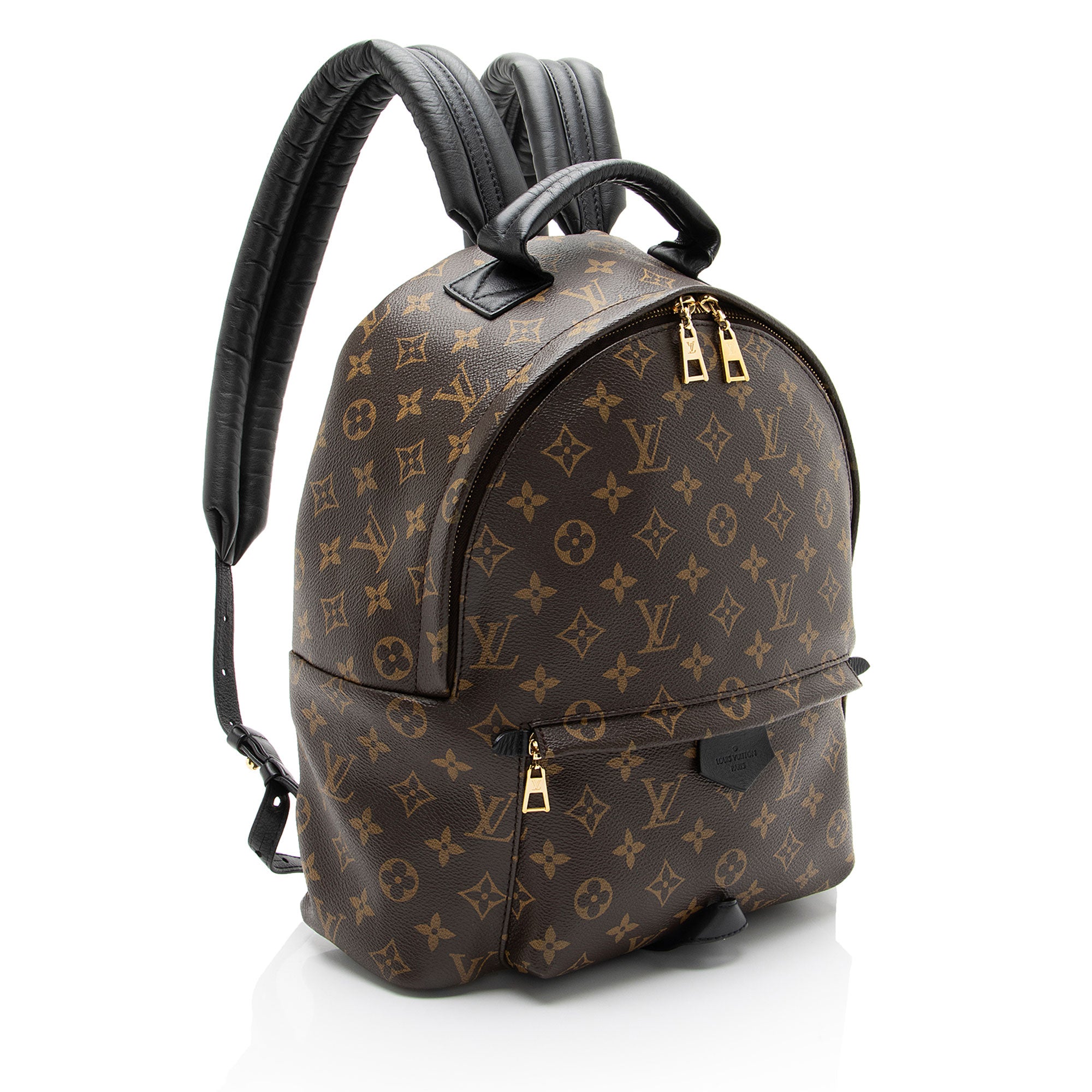 Louis Vuitton Monogram Canvas Palm Springs MM Backpack