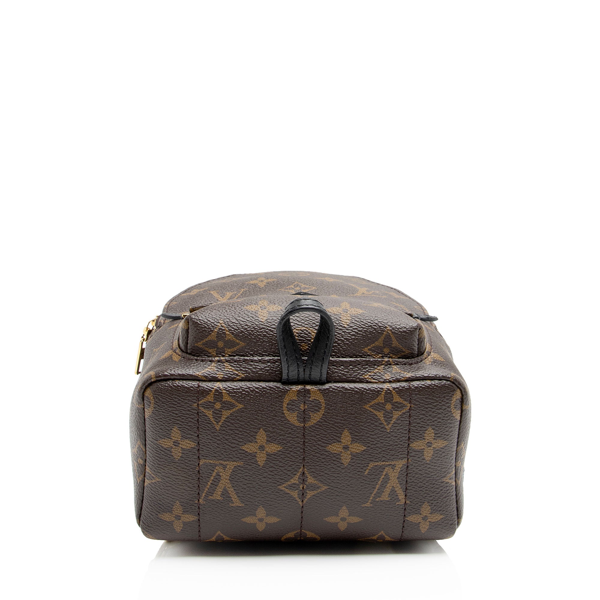 Louis Vuitton Monogram Canvas Palm Springs Mini Backpack (SHF-ZsatYA)