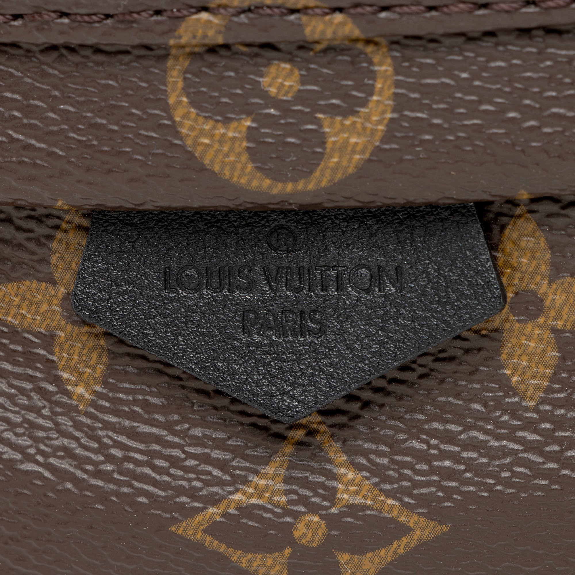 Louis Vuitton Monogram Canvas Palm Springs Mini Backpack (SHF-ZsatYA)