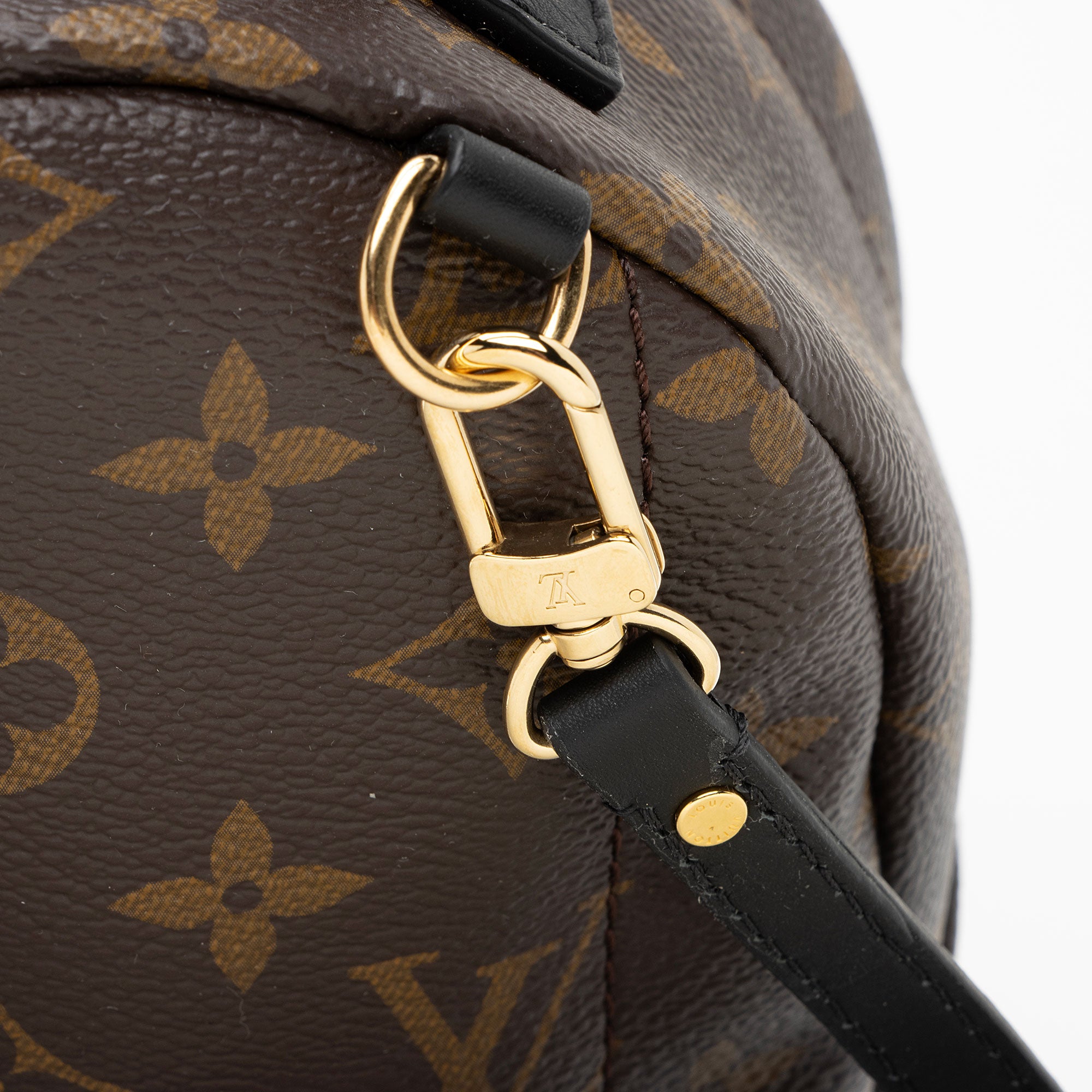 Louis Vuitton Monogram Canvas Palm Springs Mini Backpack (SHF-gAOHZi)