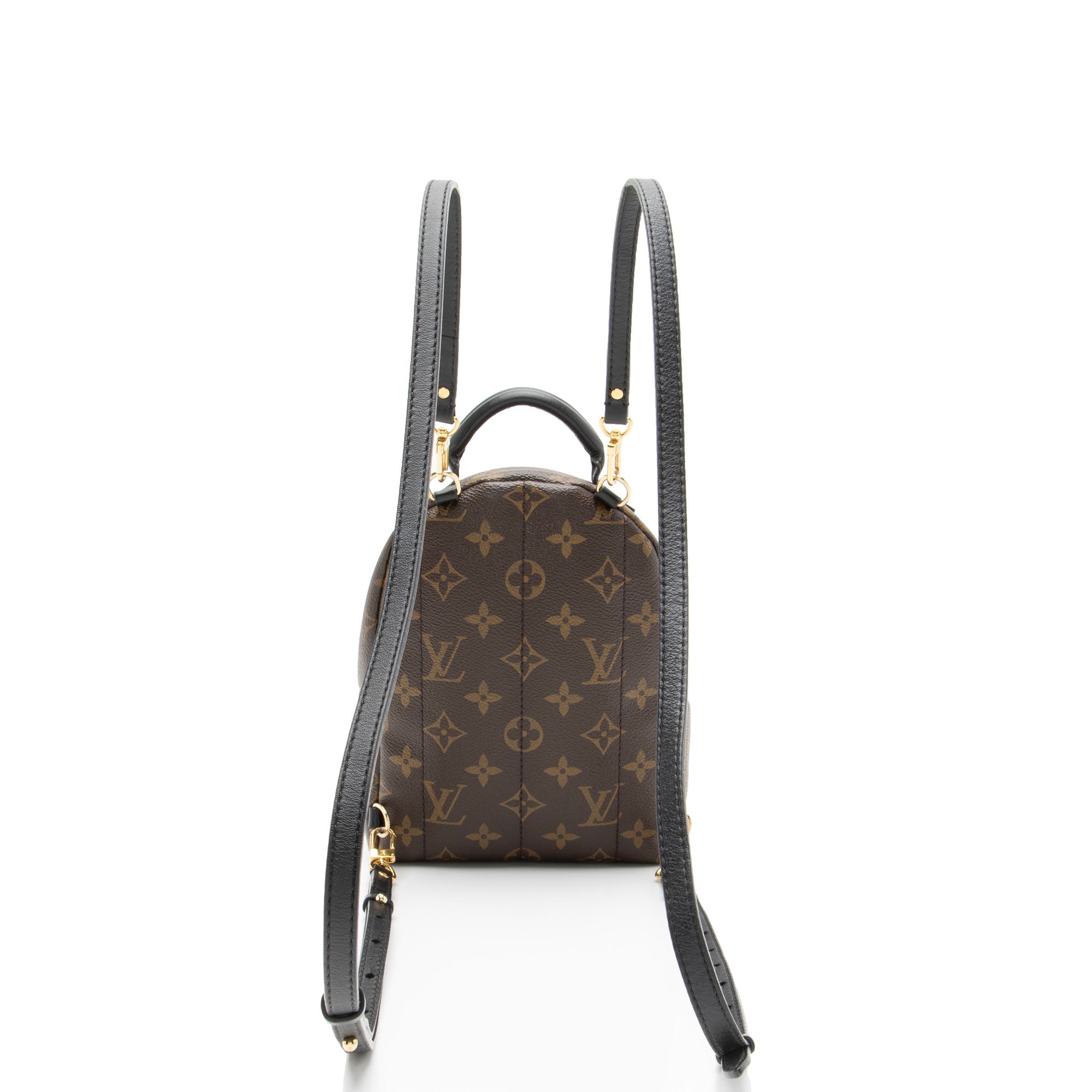 Louis Vuitton Monogram Canvas Palm Springs Mini Backpack