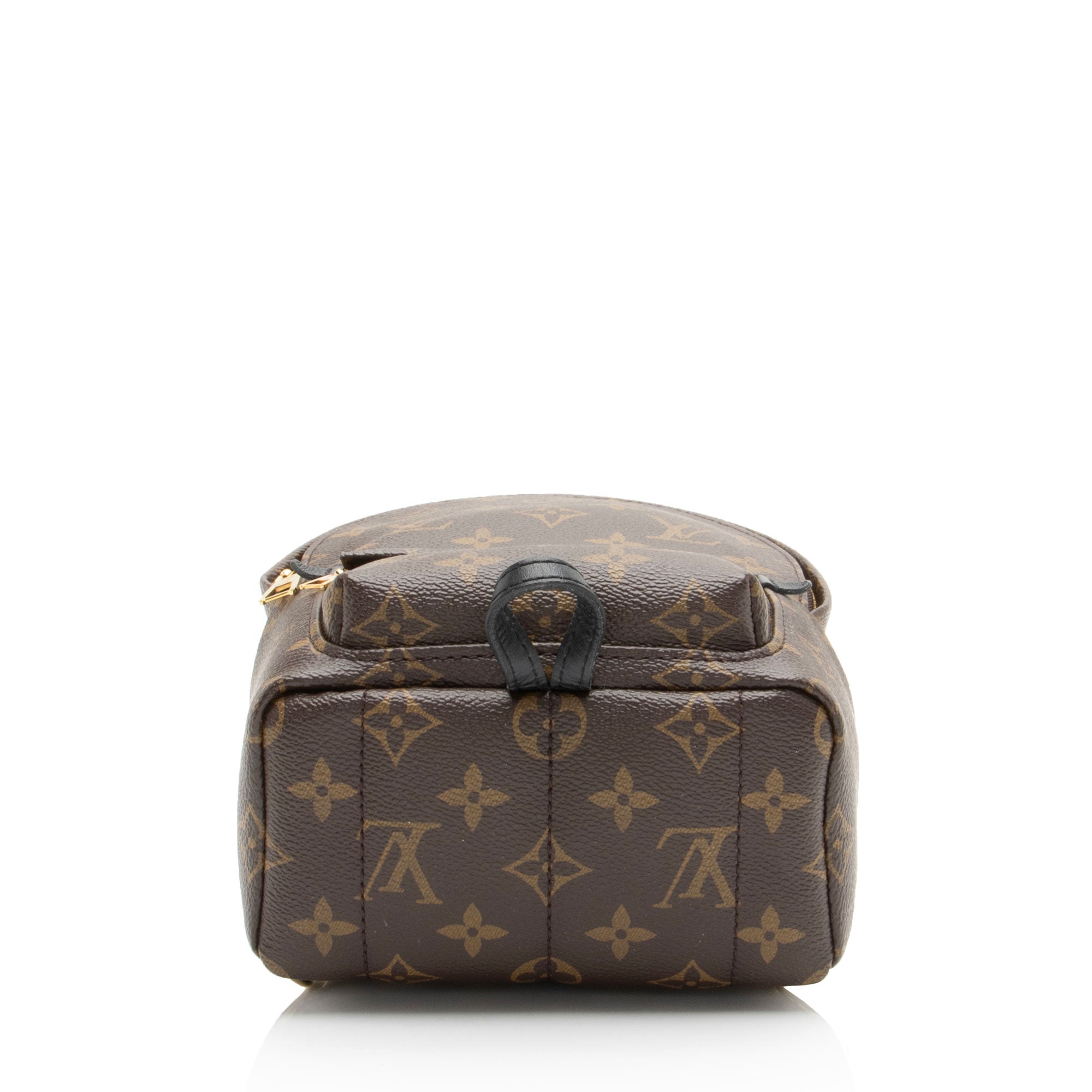 Louis Vuitton Monogram Canvas Palm Springs Mini Backpack