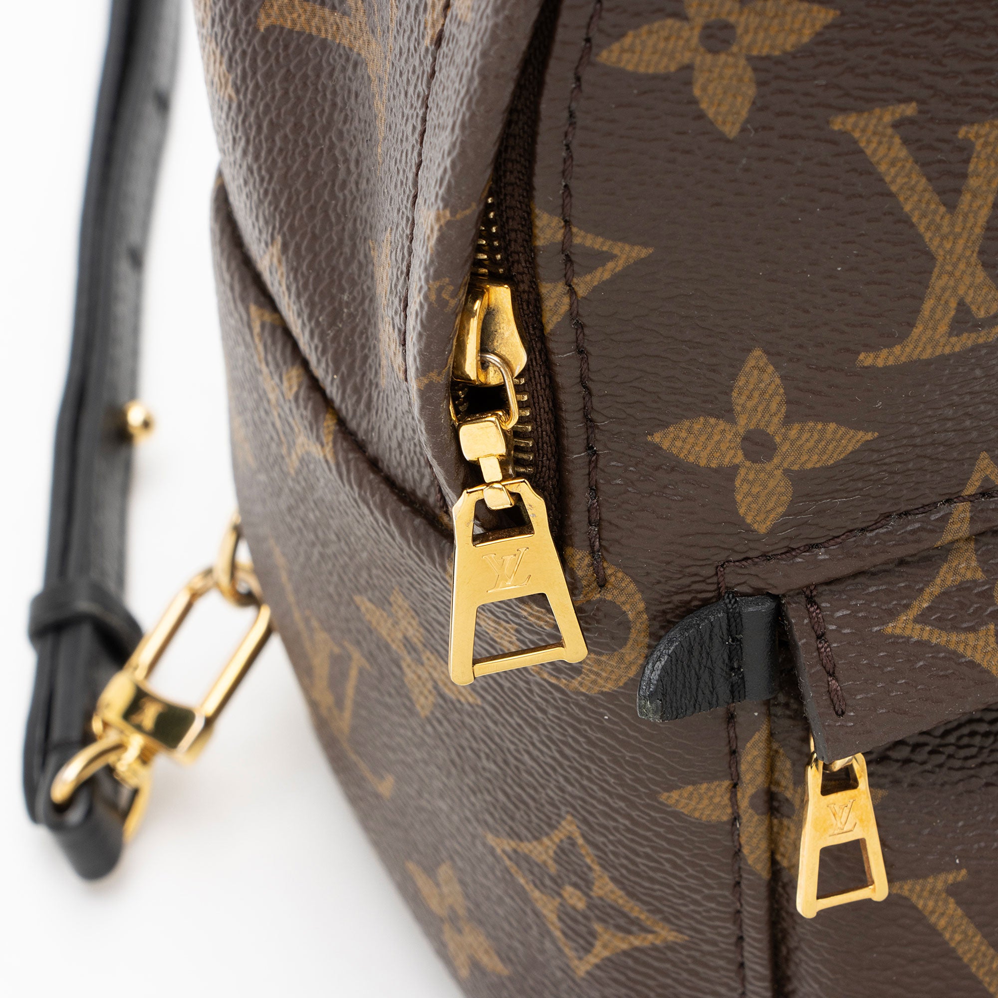 Louis Vuitton Monogram Canvas Palm Springs Mini Backpack
