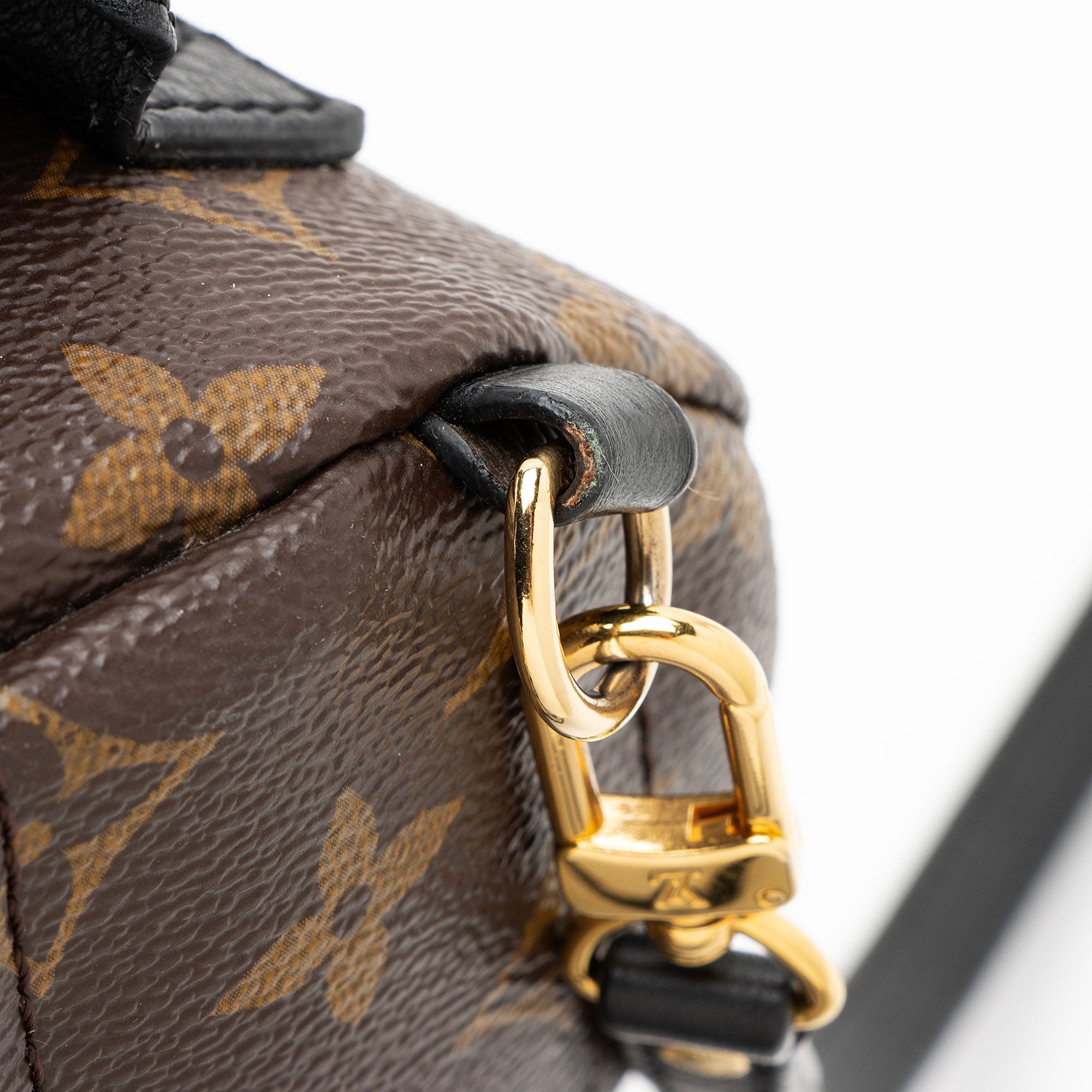 Louis Vuitton Monogram Canvas Palm Springs Mini Backpack
