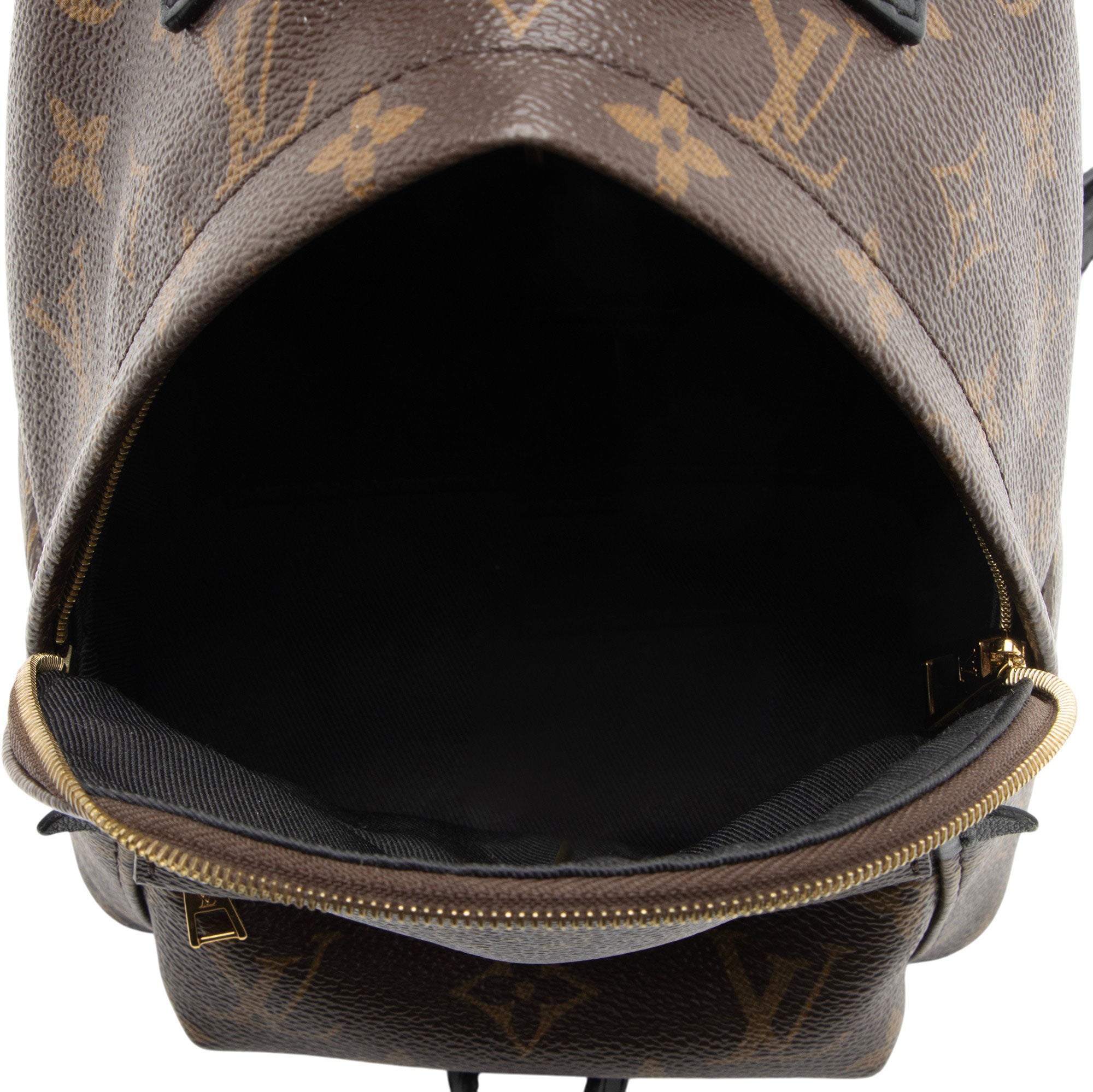 Louis Vuitton Monogram Canvas Palm Springs Mini Backpack
