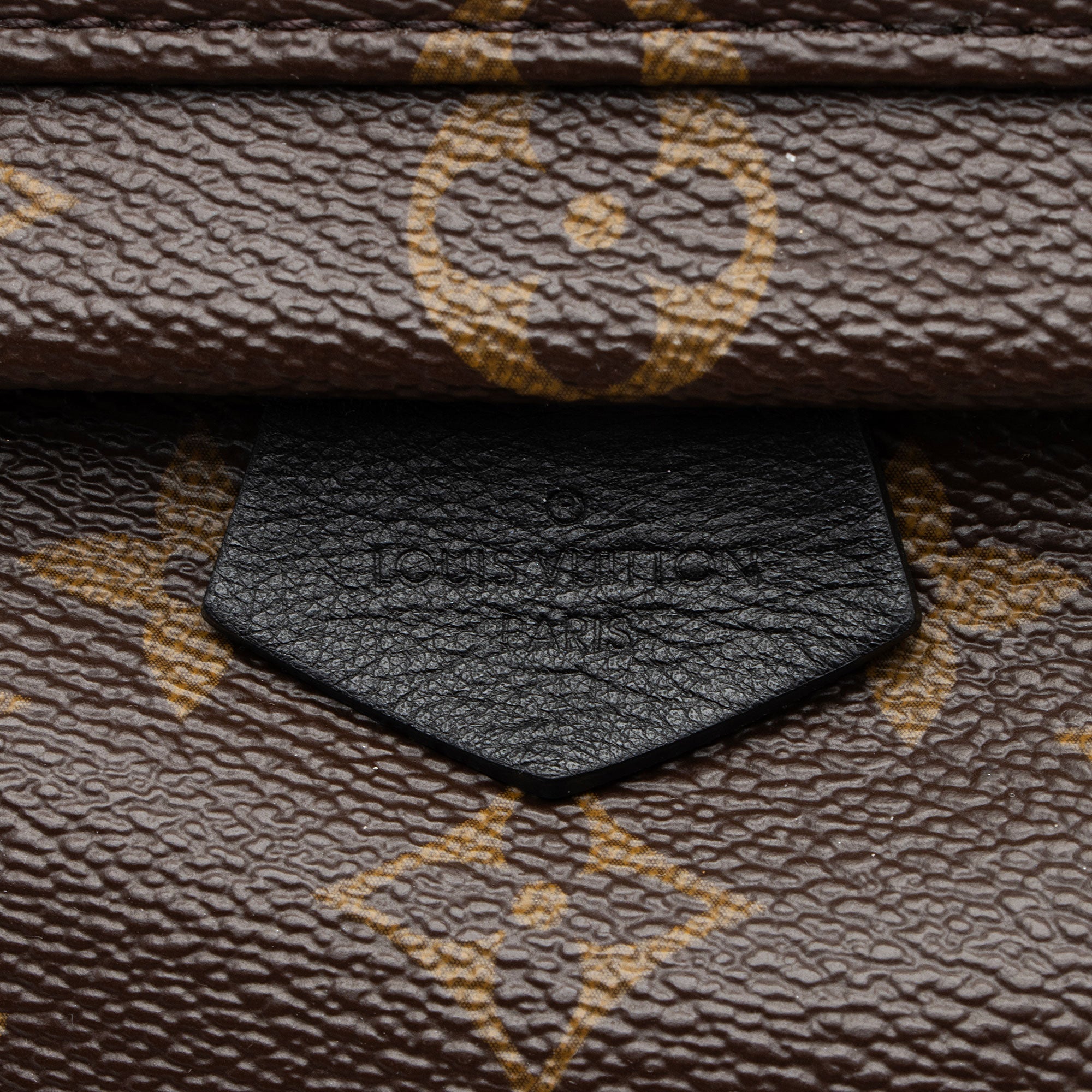 Louis Vuitton Monogram Canvas Palm Springs Mini Backpack