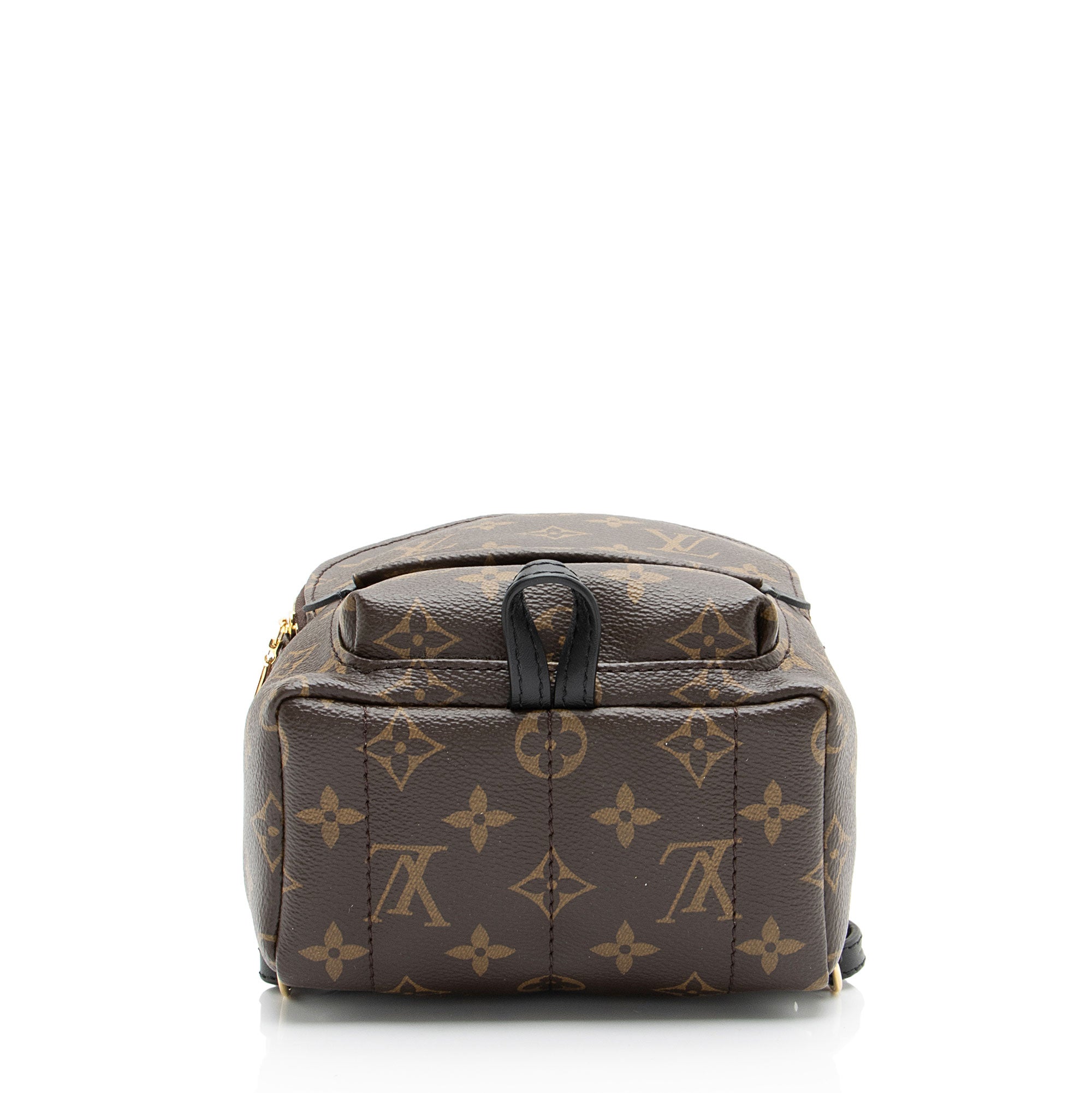 Louis Vuitton Monogram Canvas Palm Springs Mini Backpack