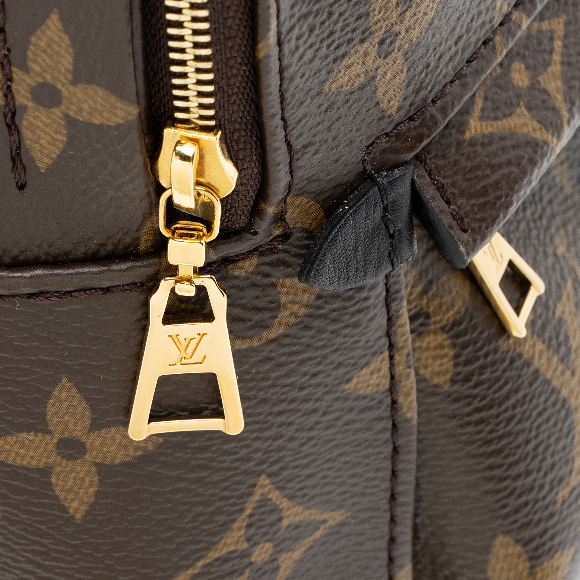 Louis Vuitton Monogram Canvas Palm Springs Mini Backpack