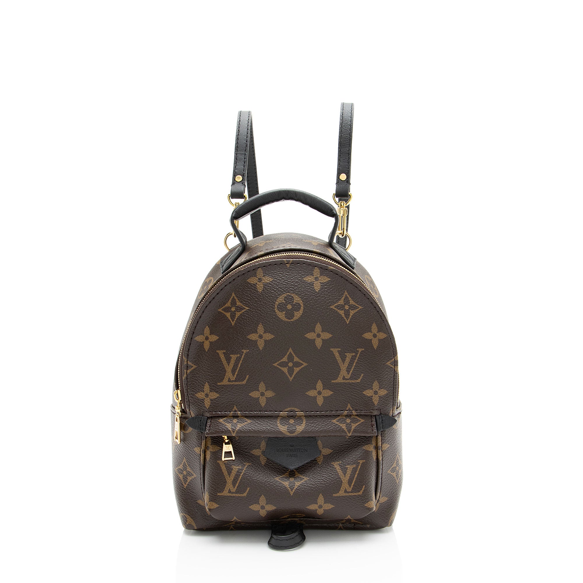 Louis Vuitton Monogram Canvas Palm Springs Mini Backpack