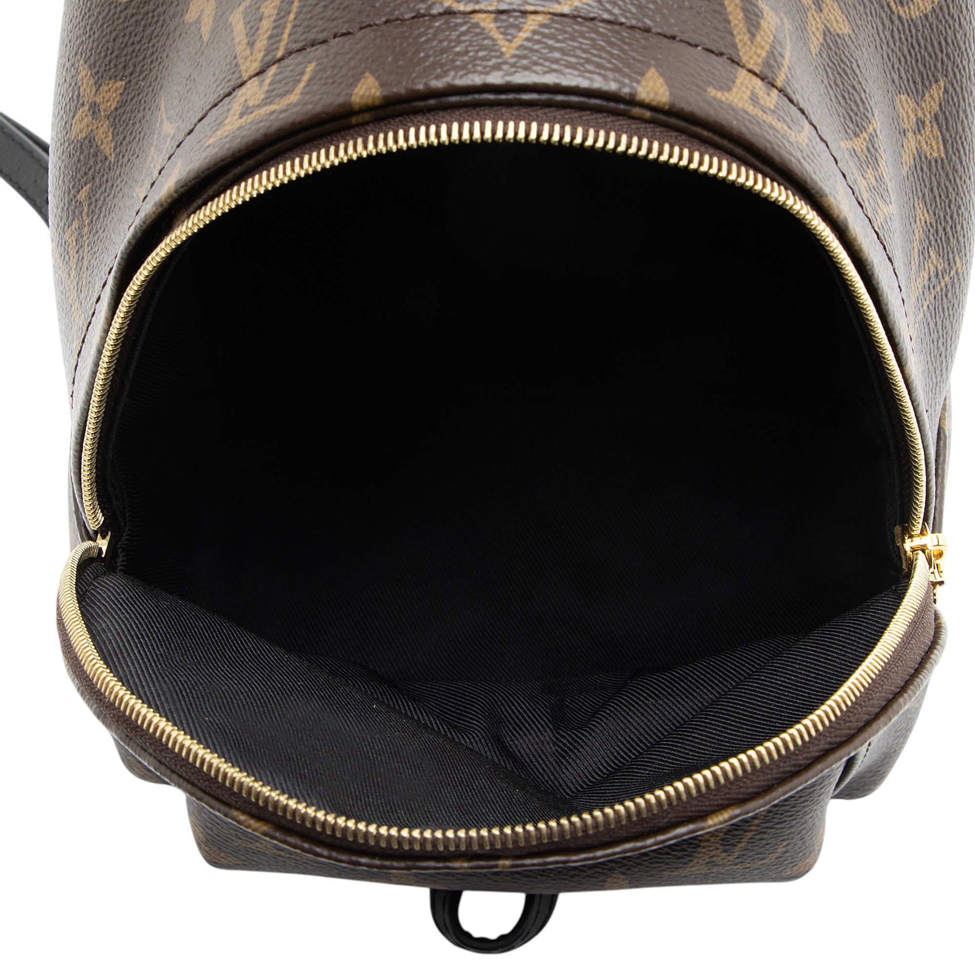 Louis Vuitton Monogram Canvas Palm Springs Mini Backpack