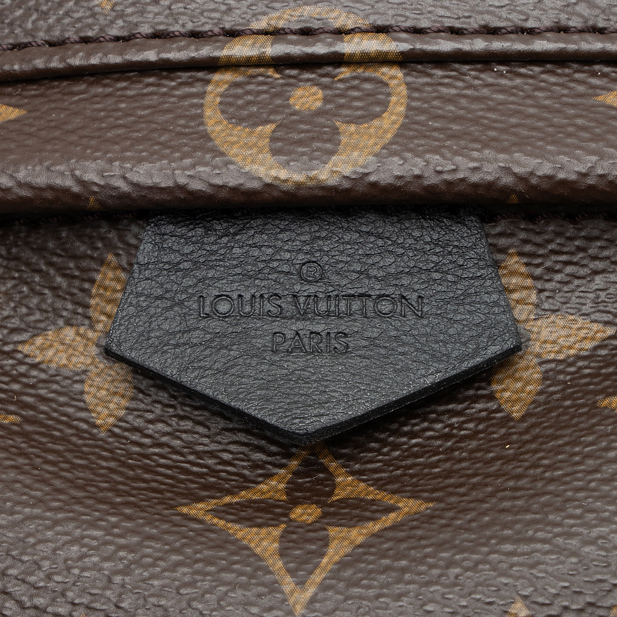 Louis Vuitton Monogram Canvas Palm Springs Mini Backpack