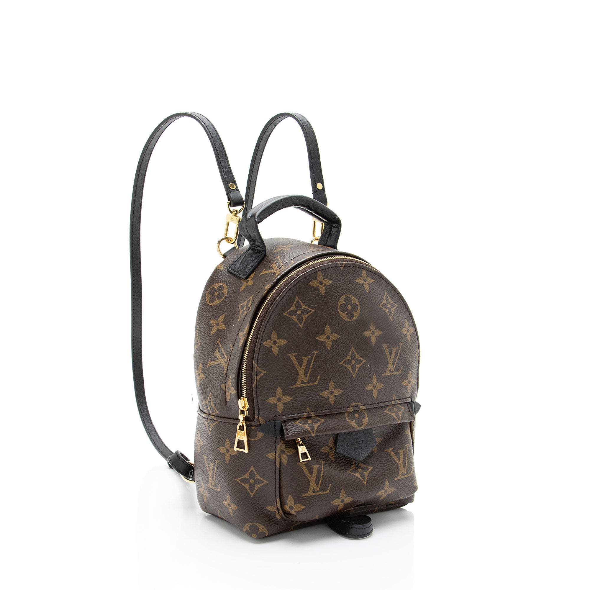 Louis Vuitton Monogram Canvas Palm Springs Mini Backpack