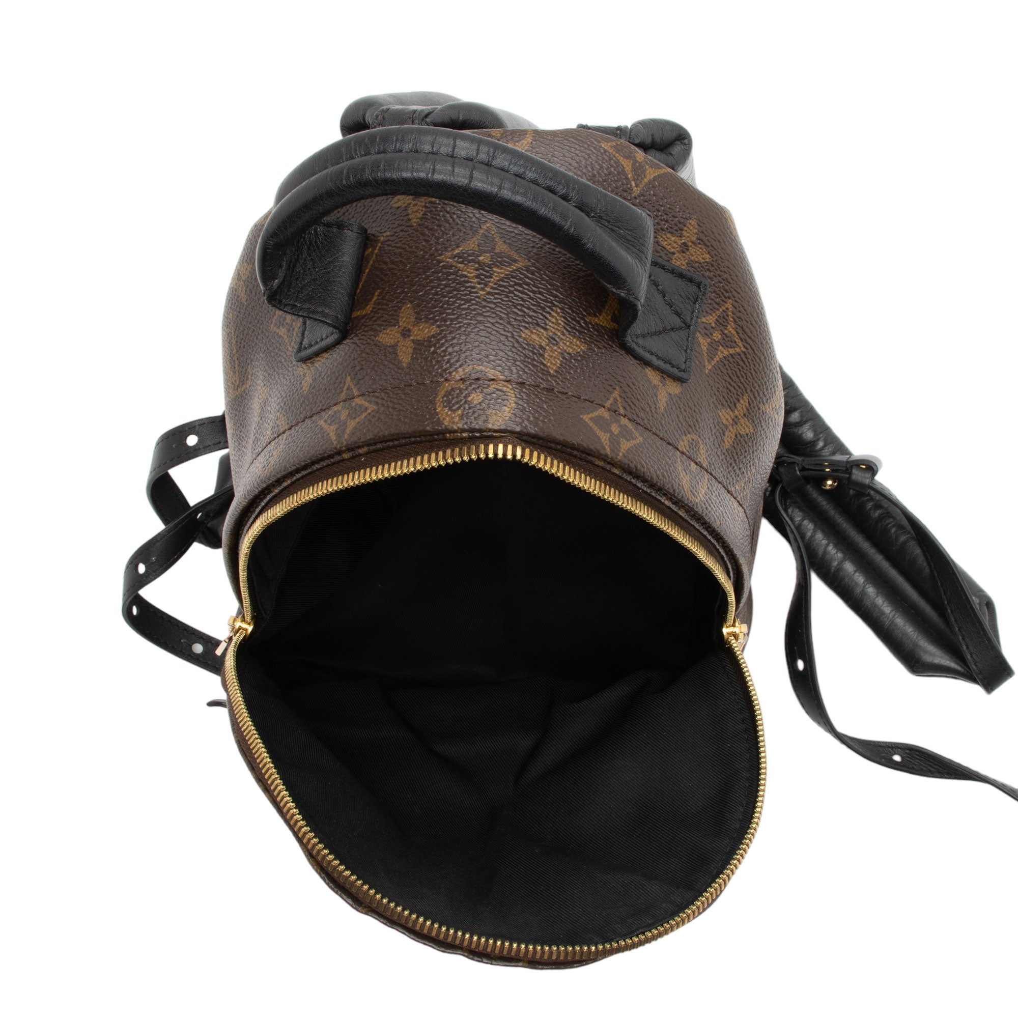 Louis Vuitton Monogram Canvas Palm Springs PM Backpack (SHF-4Fix8f)