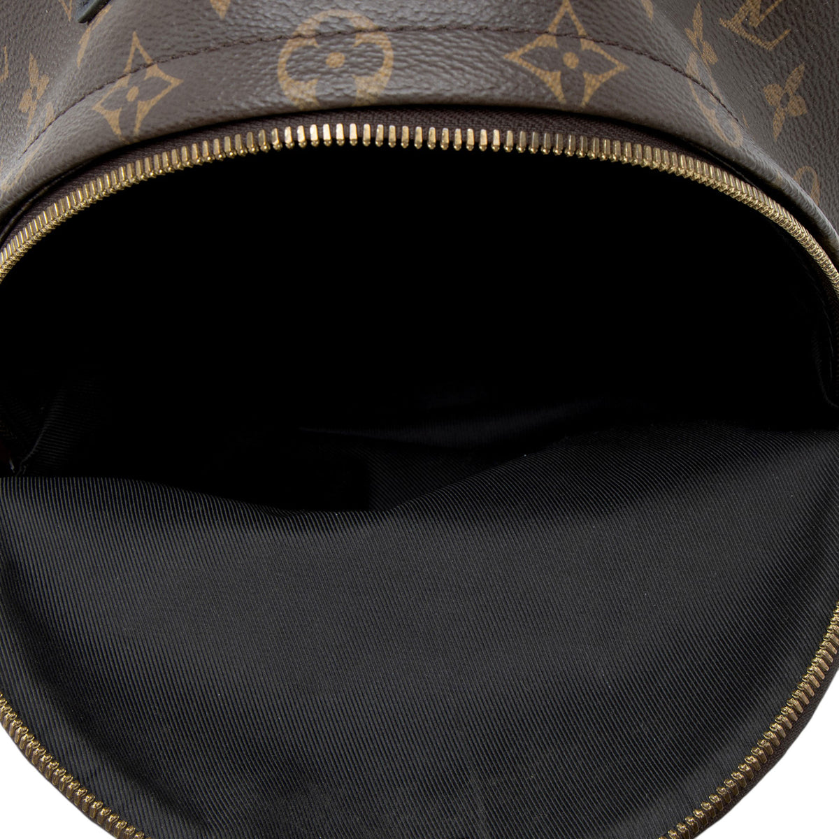 Louis Vuitton Monogram Canvas Palm Springs PM Backpack