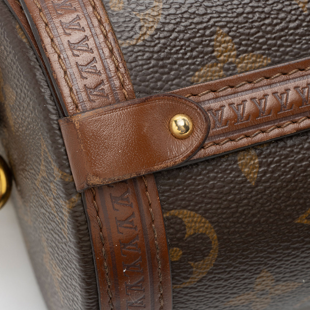 Louis Vuitton Monogram Canvas Papillon Trunk Bag