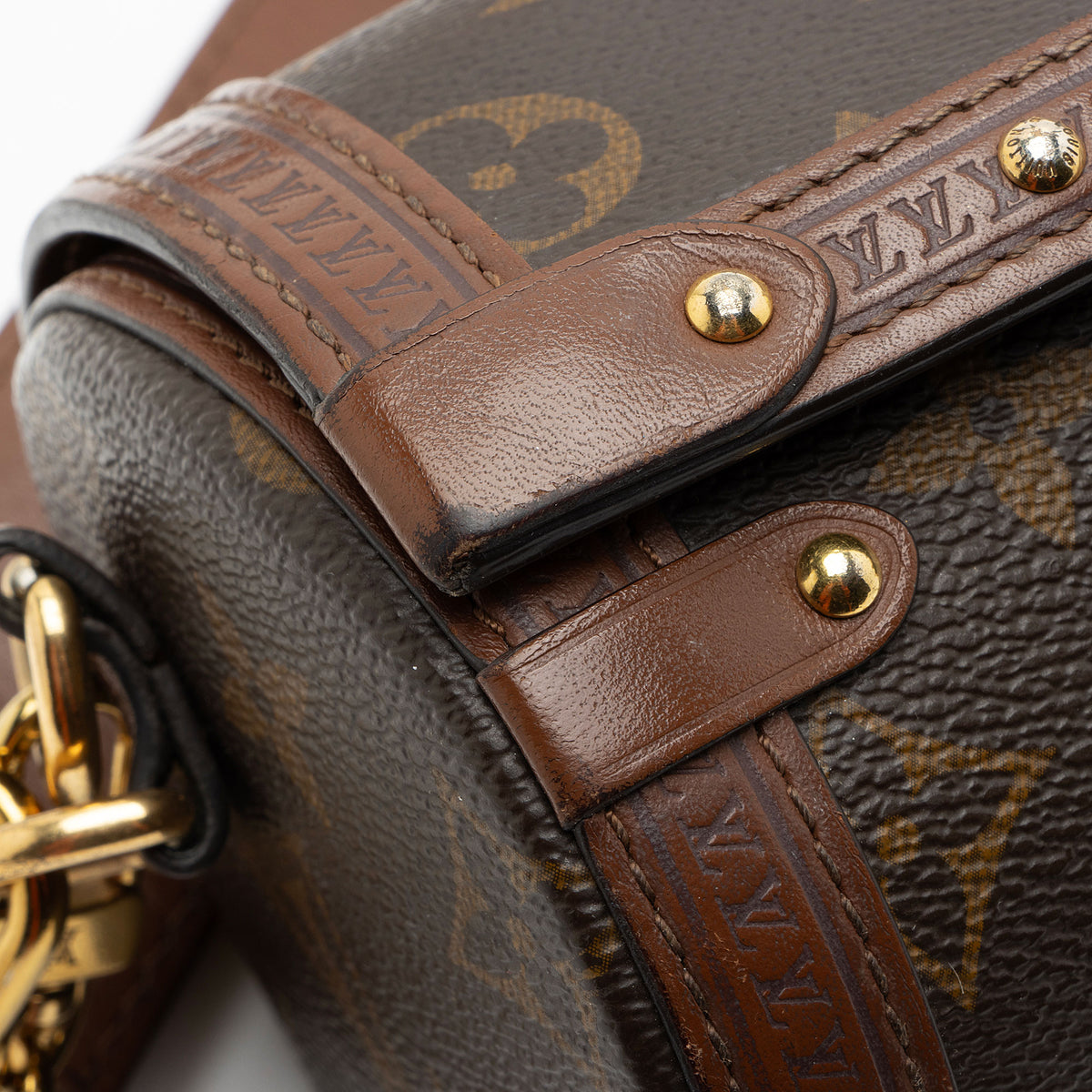 Louis Vuitton Monogram Canvas Papillon Trunk Bag
