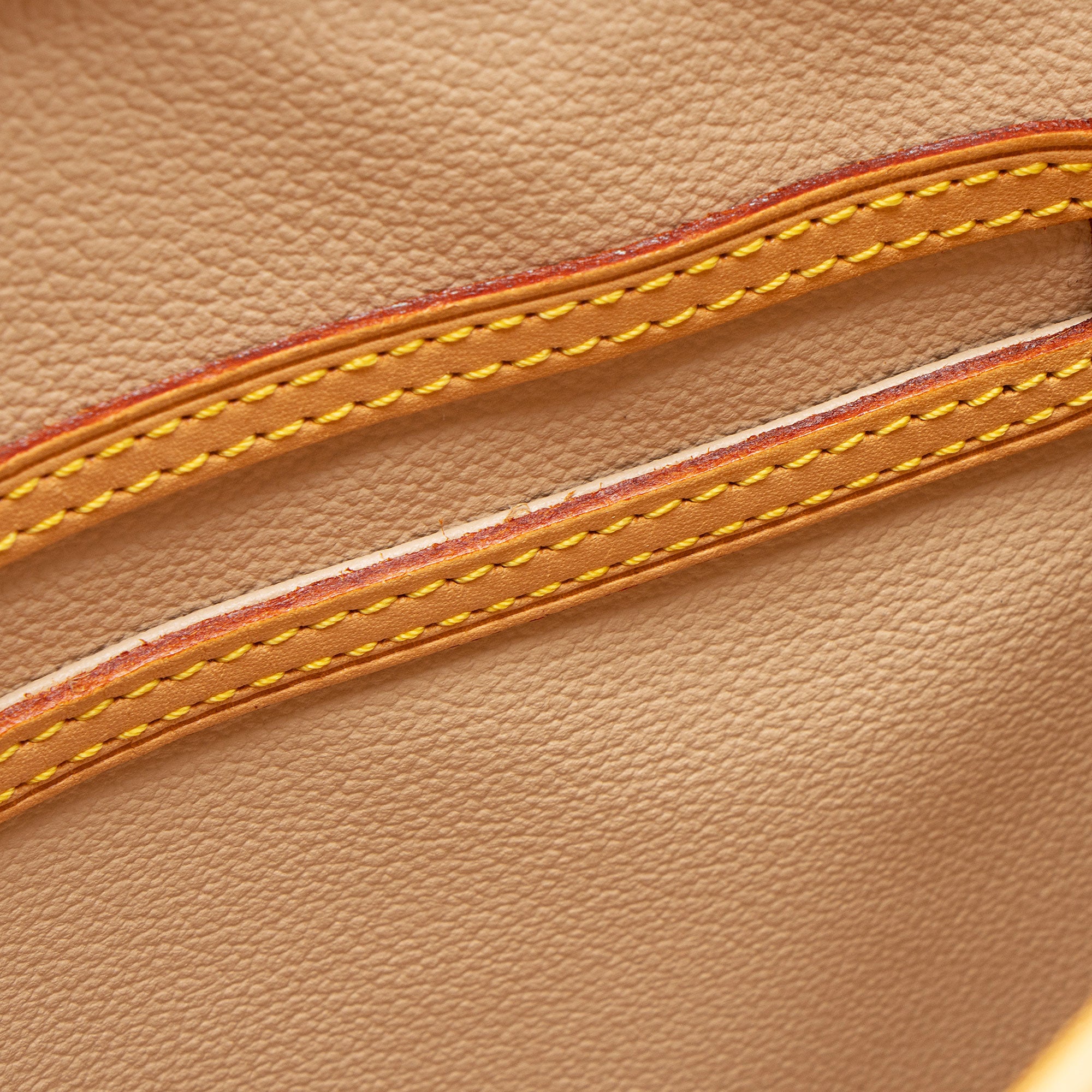 Louis Vuitton Monogram Canvas Petit Bucket Tote (SHF-7aH0Xv)