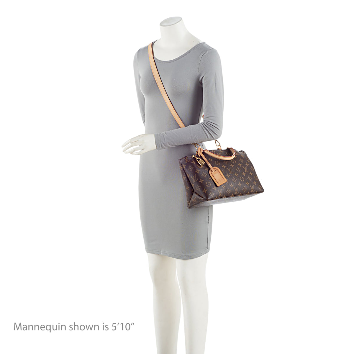 Louis Vuitton Monogram Canvas Petit Palais Tote