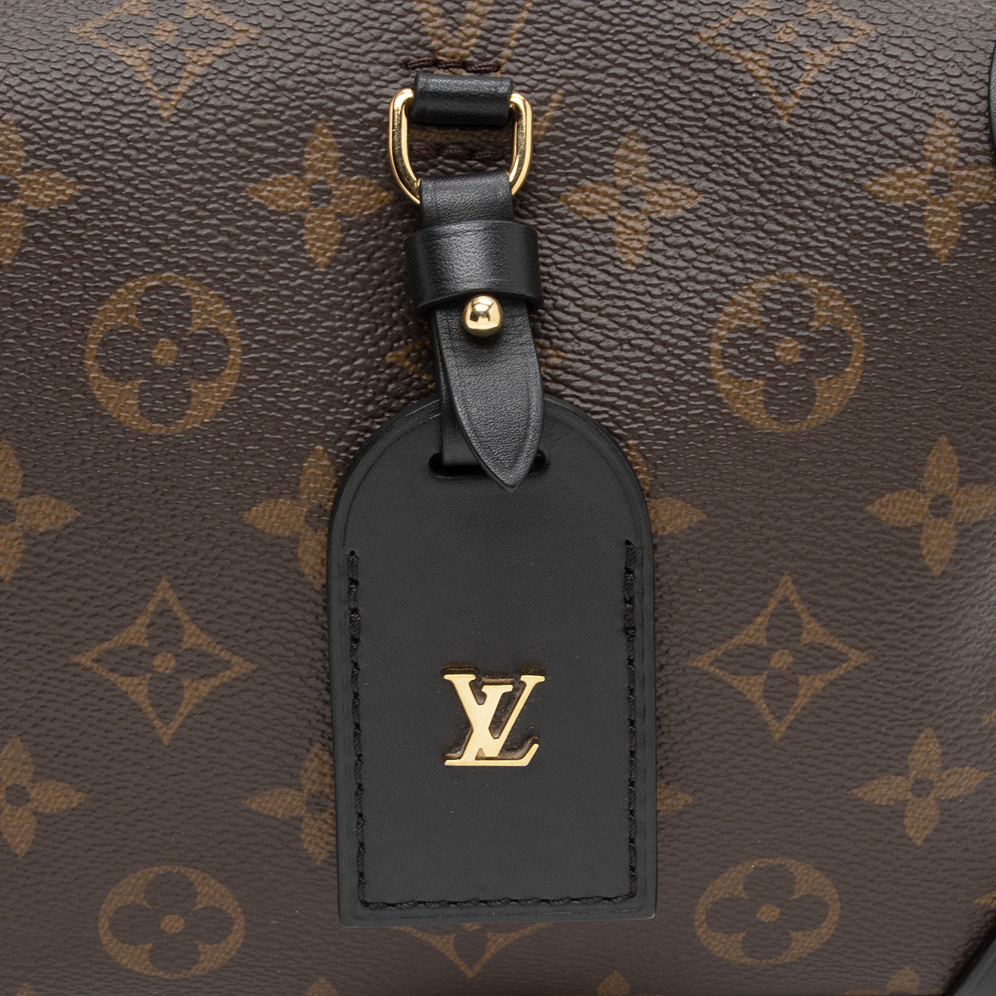 Louis Vuitton Monogram Canvas Petite Malle Souple Satchel (SHF-UveJUa)