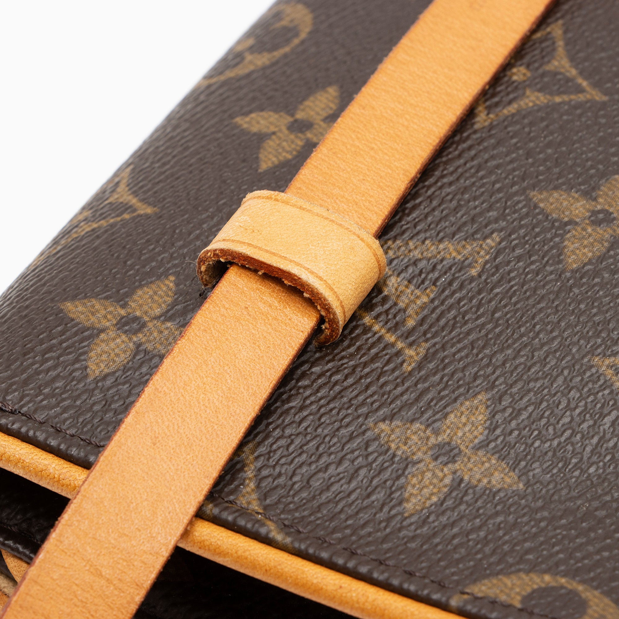 Louis Vuitton Monogram Canvas Pochette Florentine Small Belt Bag (SHF-iqnY6U)