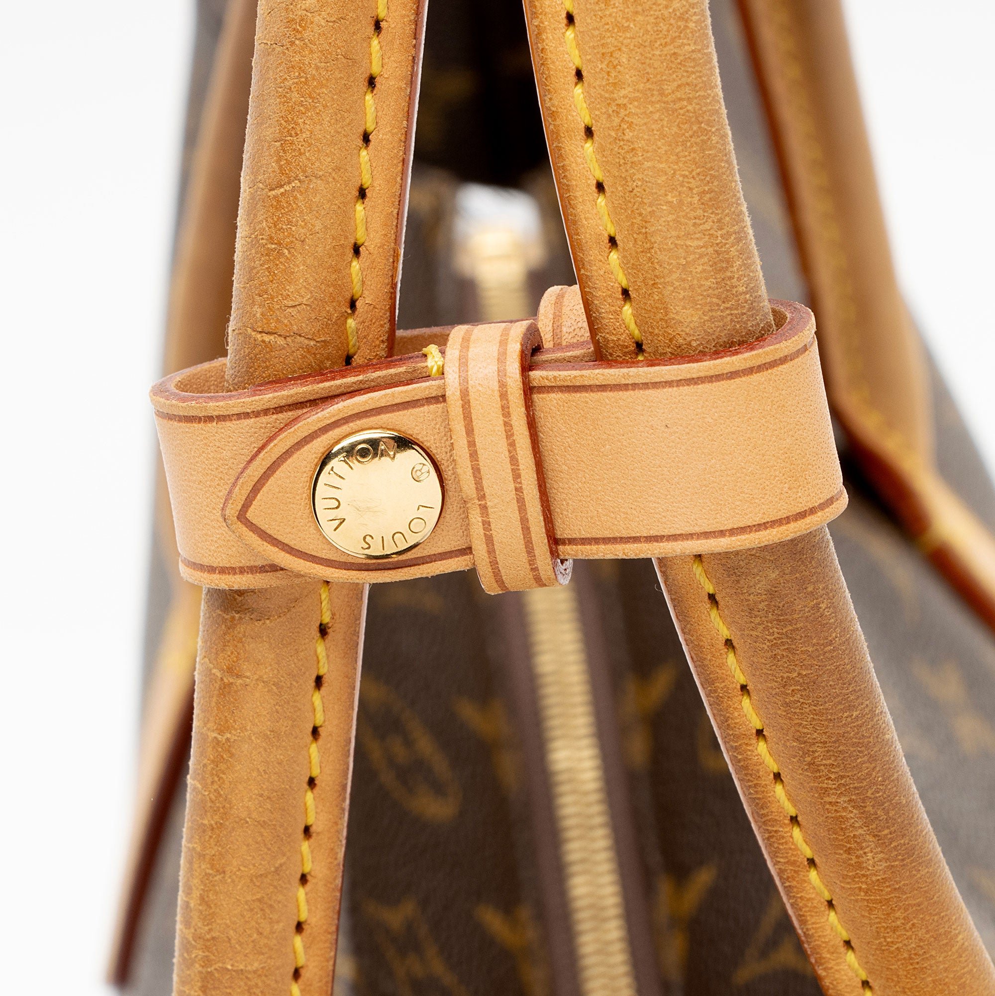 Louis Vuitton Monogram Canvas Raspail MM Tote (SHF-BP8UI3)