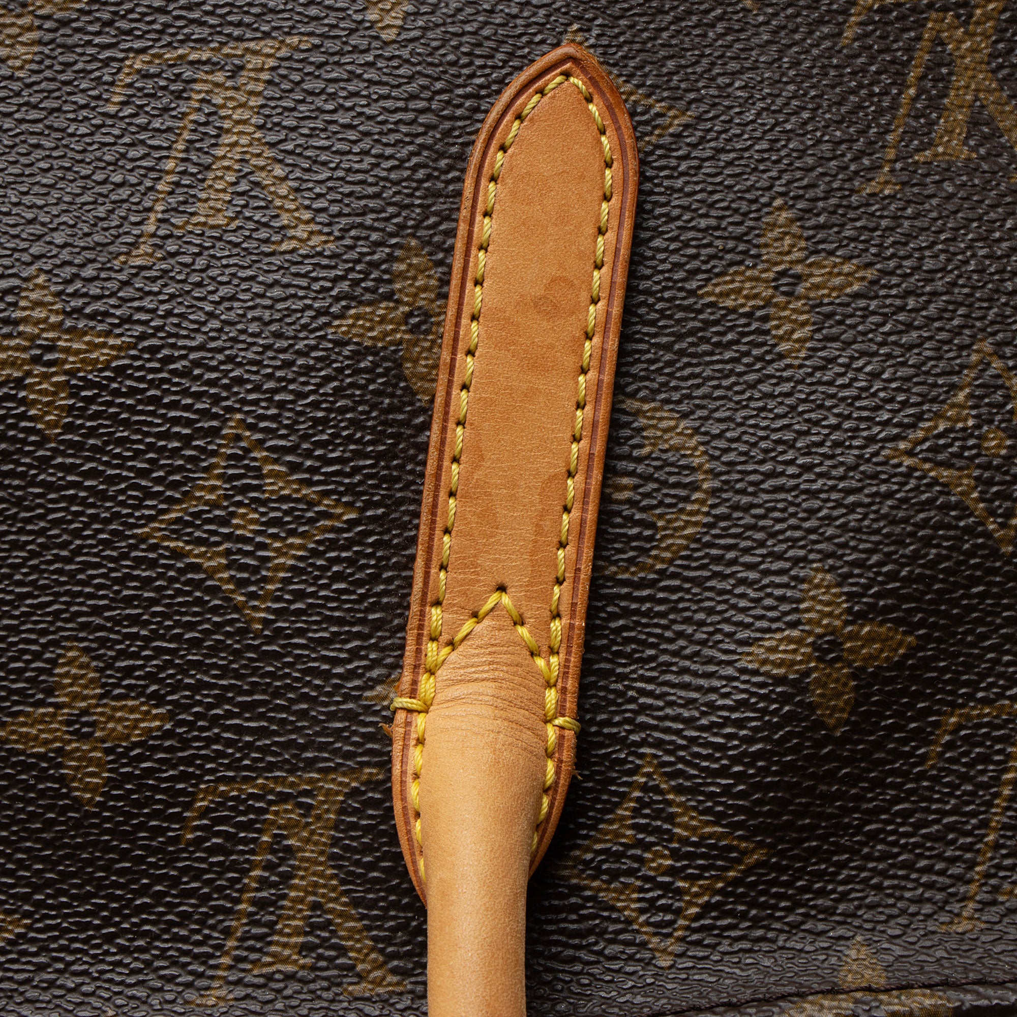 Louis Vuitton Monogram Canvas Raspail MM Tote
