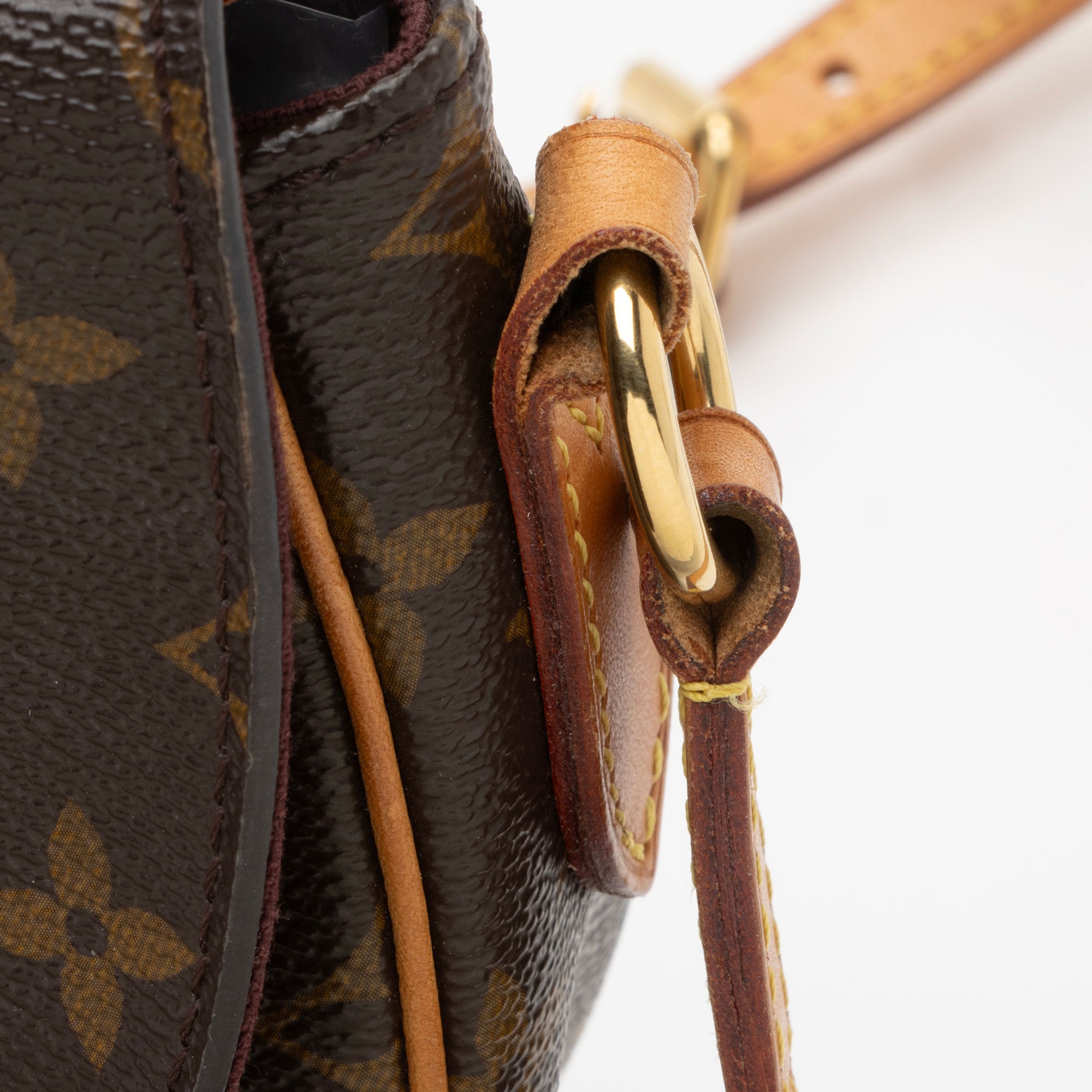 Louis Vuitton Monogram Canvas Saint Cloud Messenger (SHF-opWxg2)