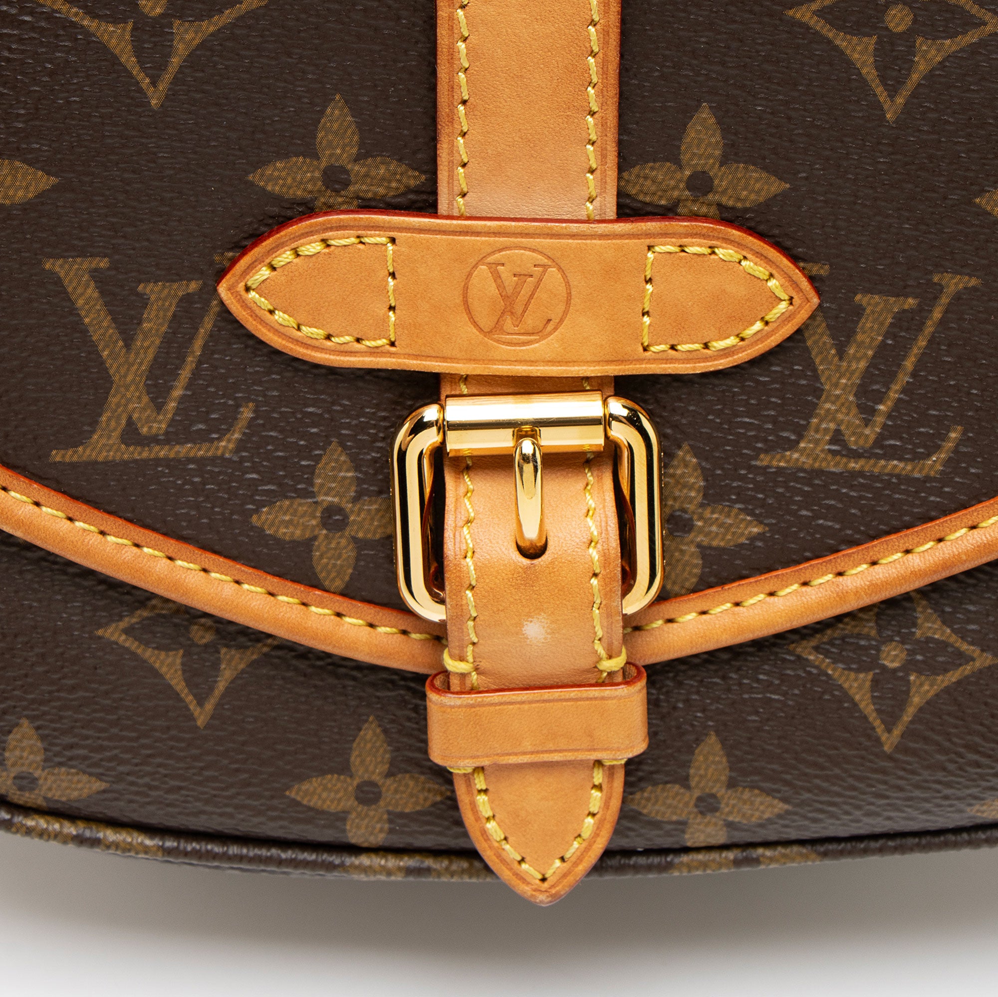 Louis Vuitton Monogram Canvas Saumur BB Shoulder Bag