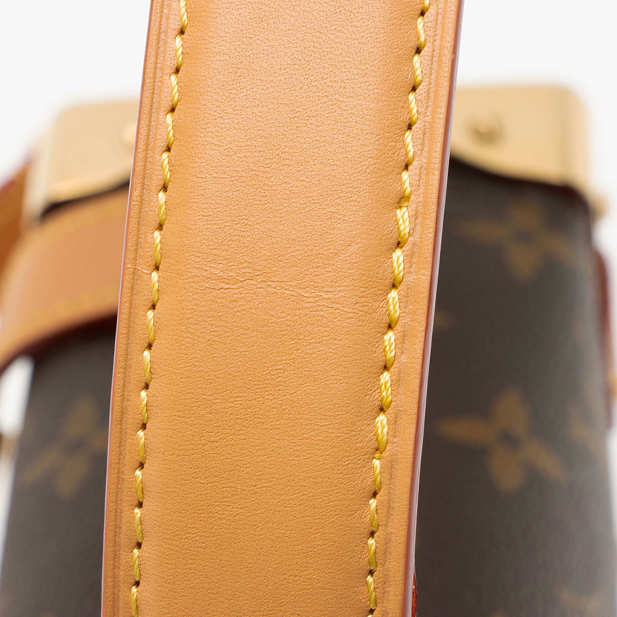 Louis Vuitton Monogram Canvas Side Trunk PM Shoulder Bag