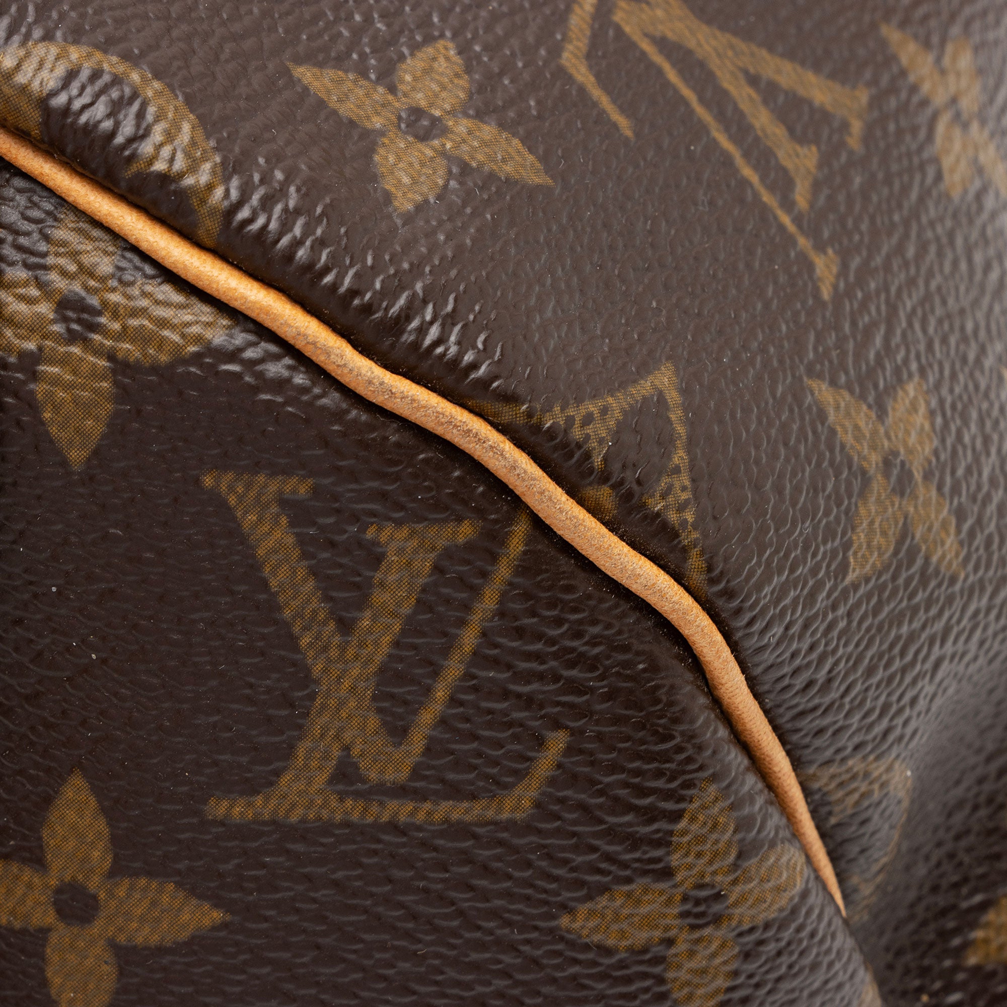 Louis Vuitton Monogram Canvas Speedy 30 Satchel (SHF-vg2Q2i)