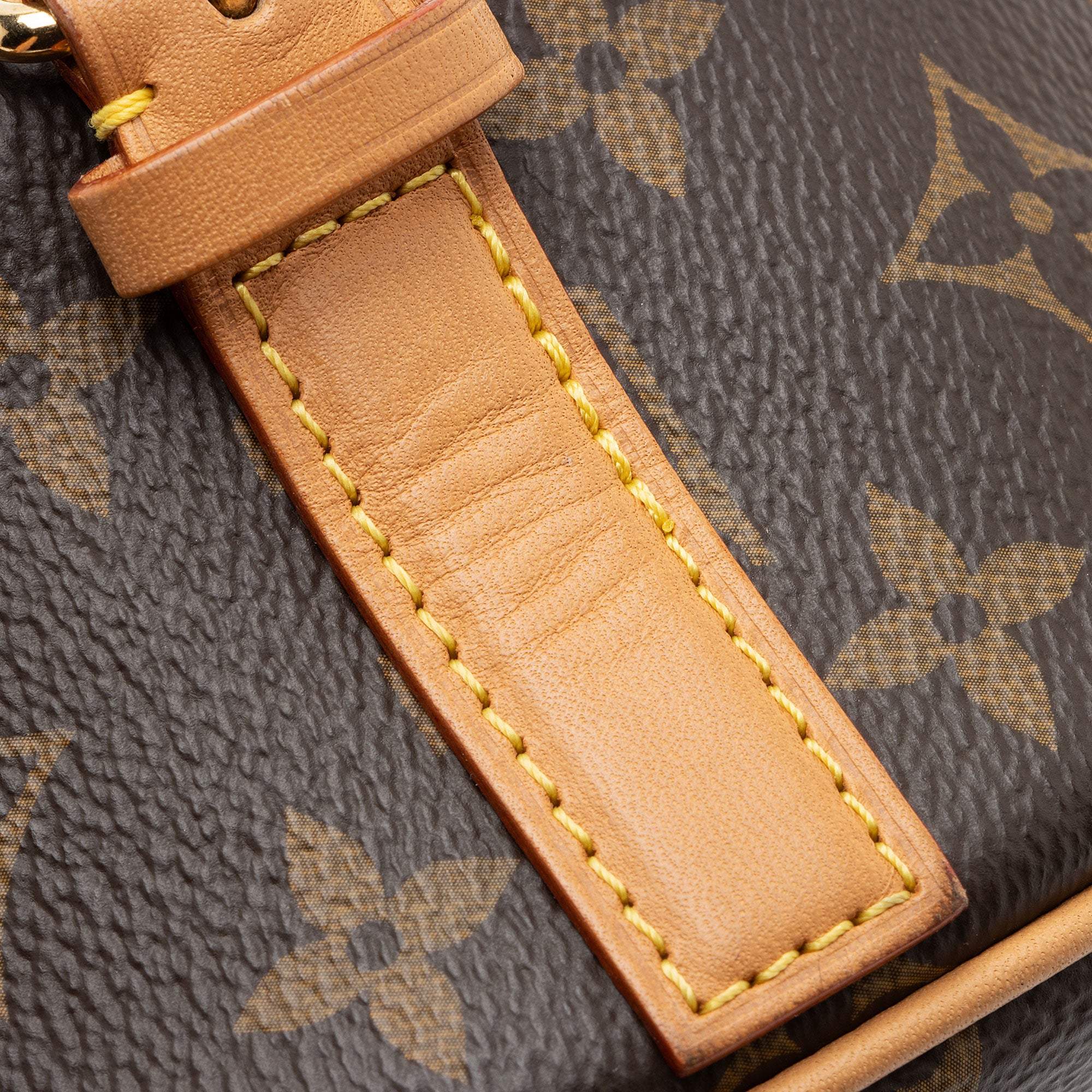 Louis Vuitton Monogram Canvas Tambourin Shoulder Bag