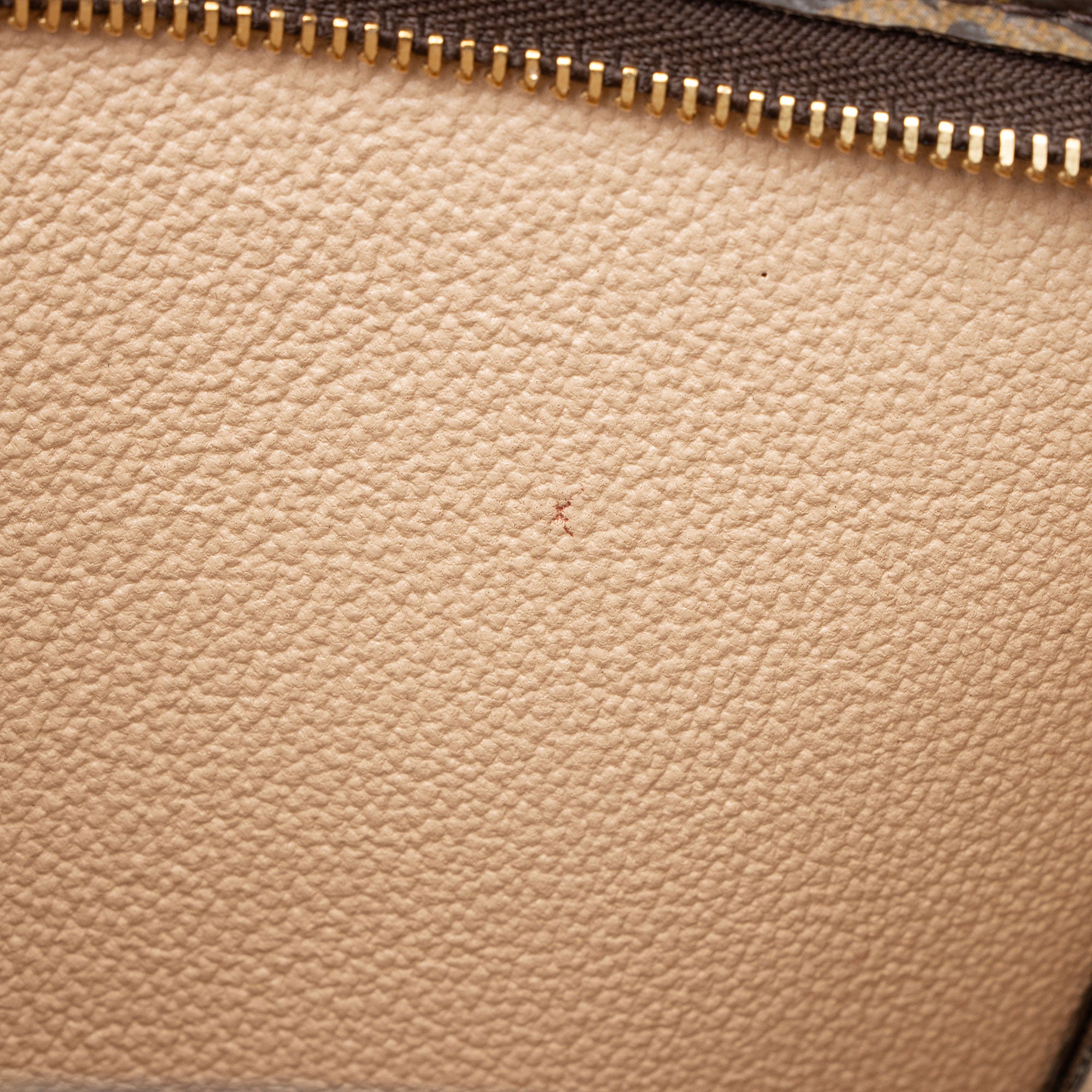 Louis Vuitton Monogram Canvas Toiletry Pouch 19