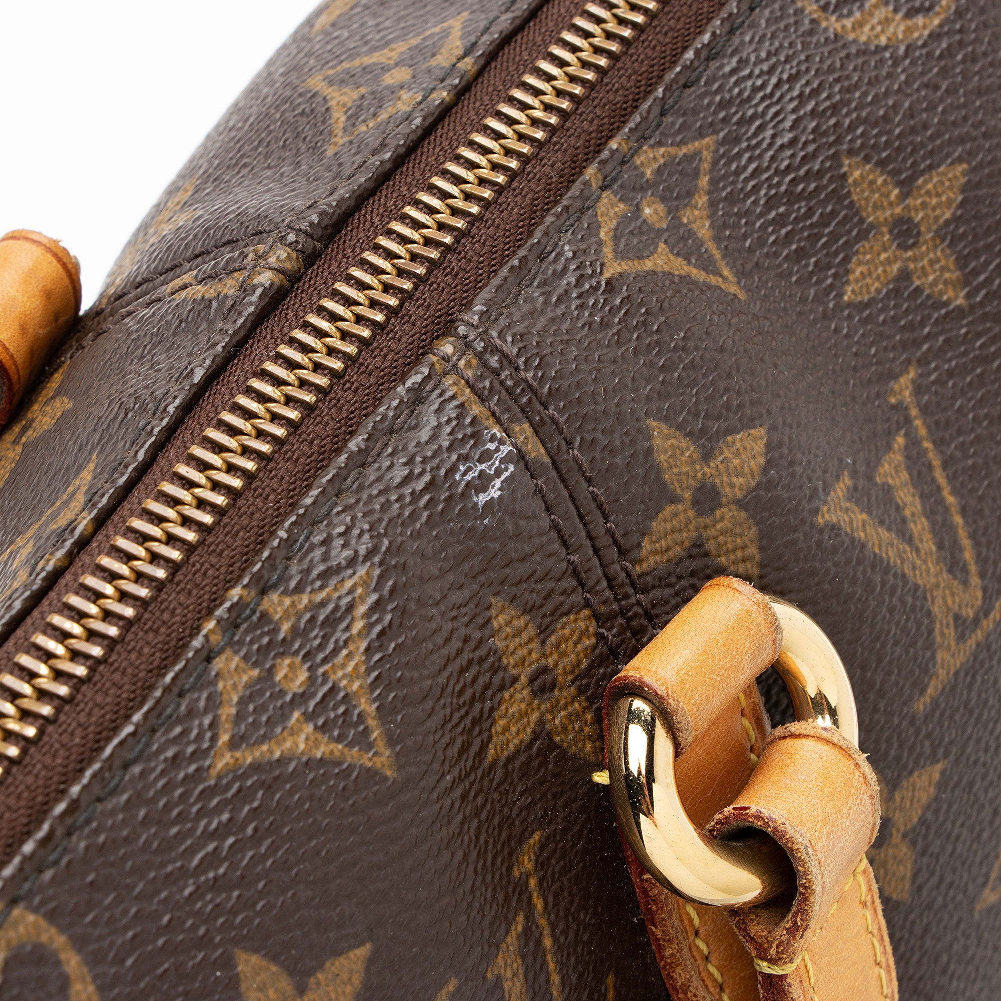 Louis Vuitton Monogram Canvas Totally PM Tote