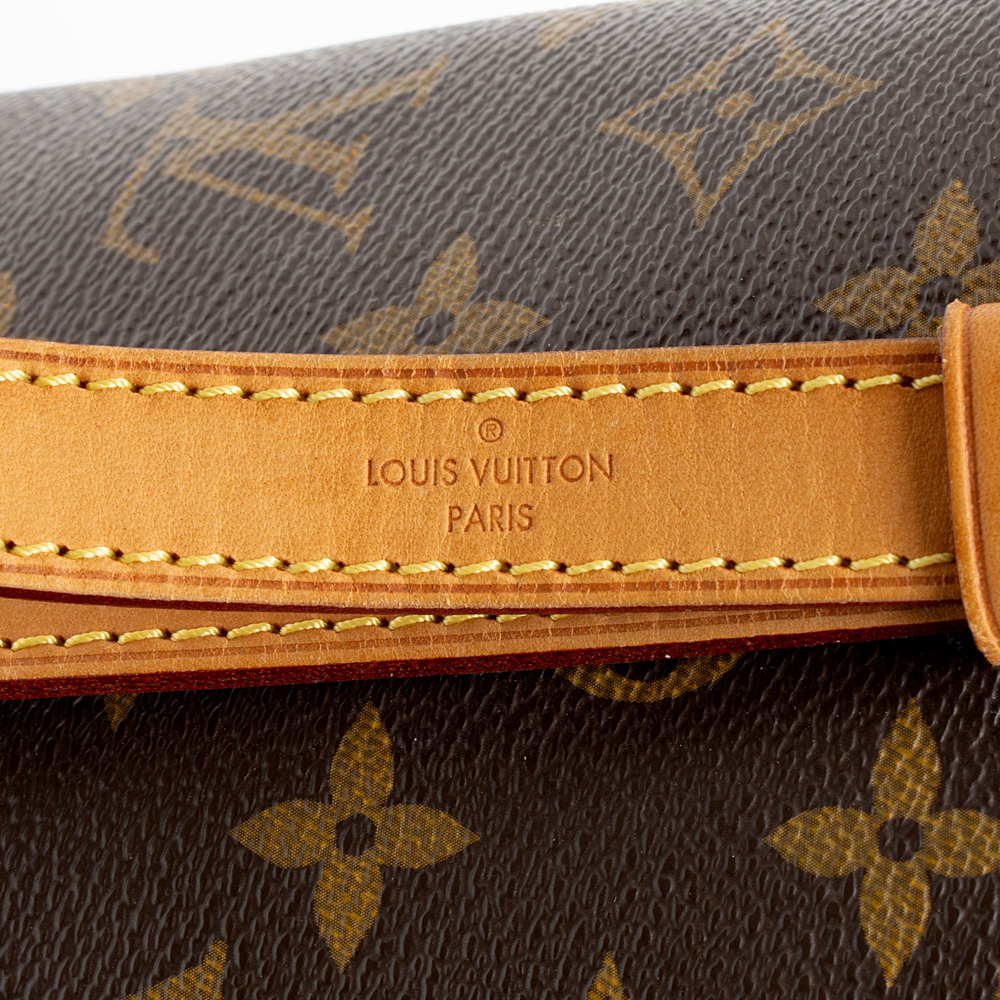 Louis Vuitton Monogram Canvas Tuileries Tote