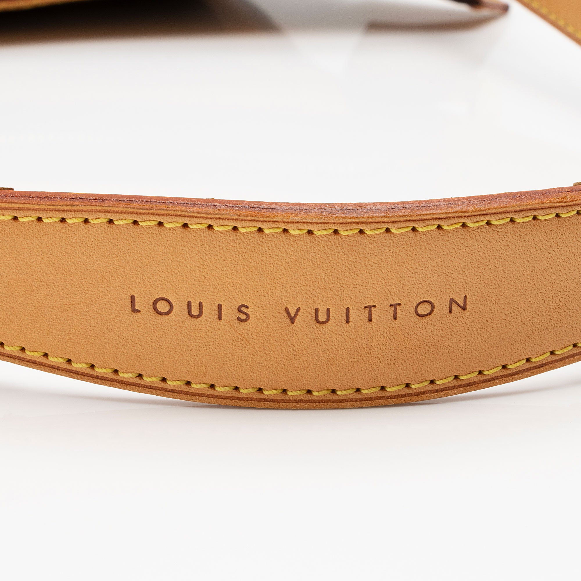Louis Vuitton Monogram Canvas Tulum GM Shoulder Bag (SHF-buaNZA)