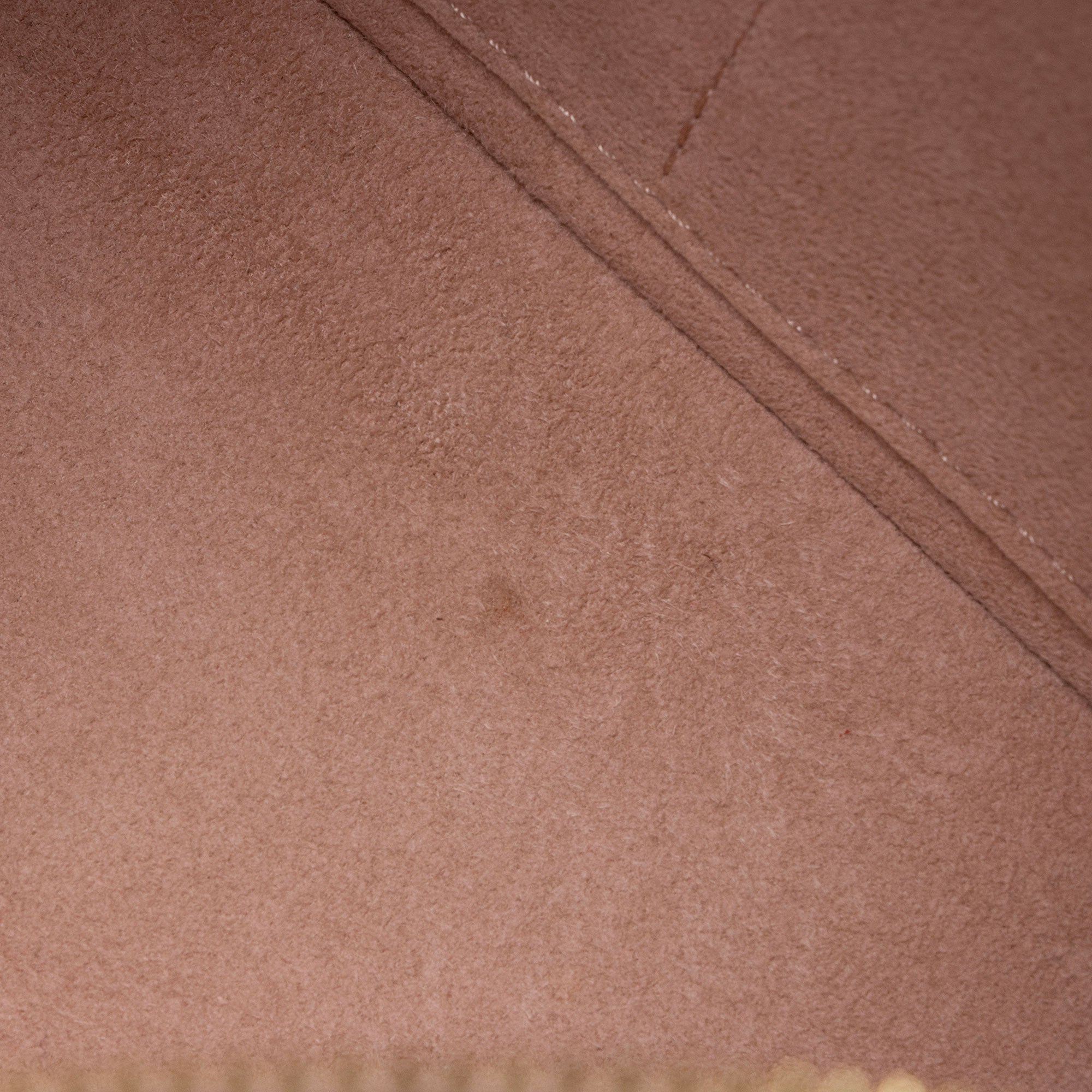 Louis Vuitton Monogram Canvas V Tote BB
