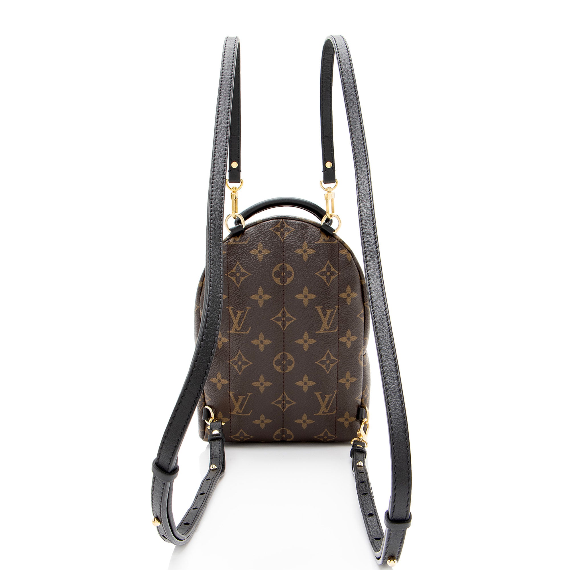 Louis Vuitton Monogram Canvas World Tour Palm Springs Mini Backpack
