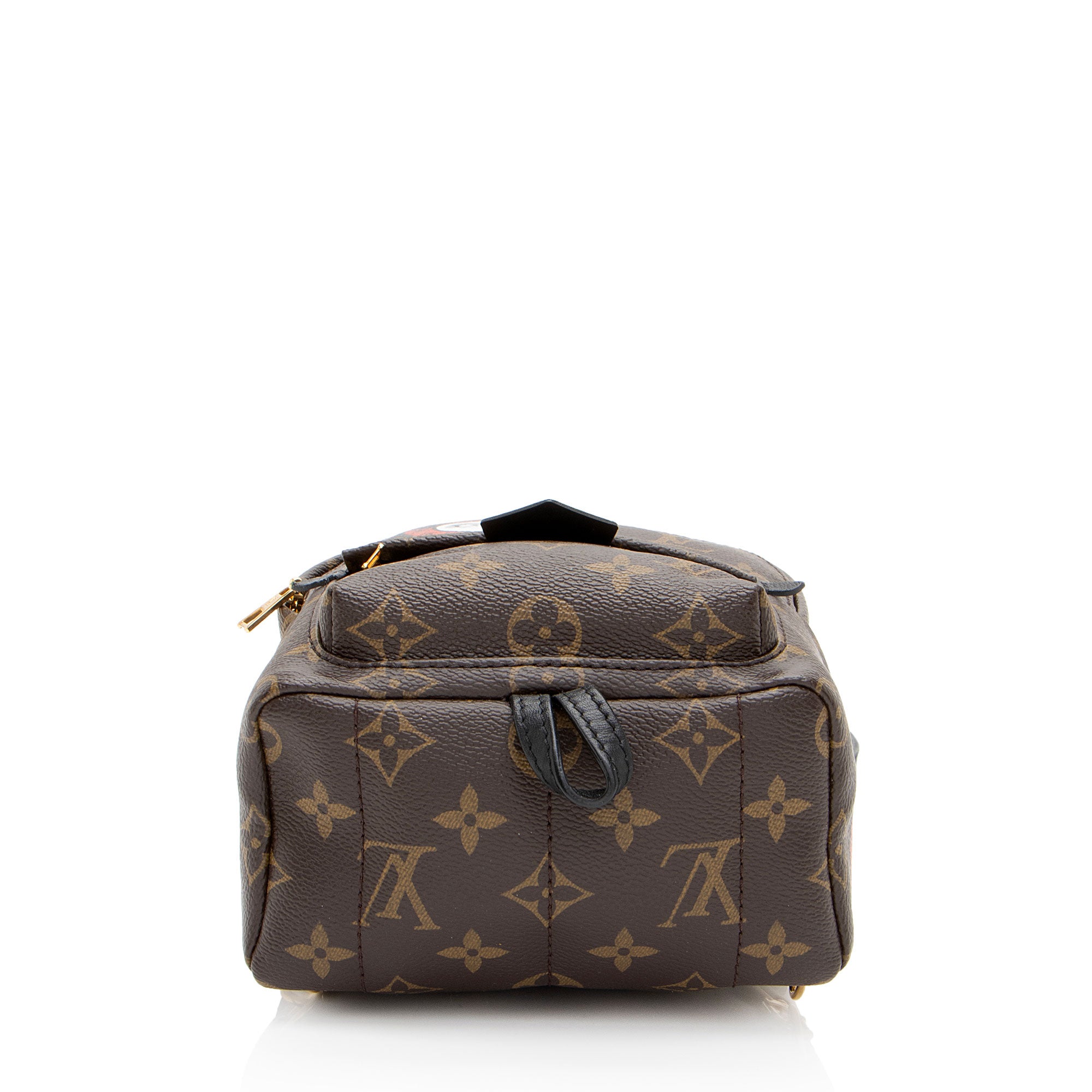 Louis Vuitton Monogram Canvas World Tour Palm Springs Mini Backpack
