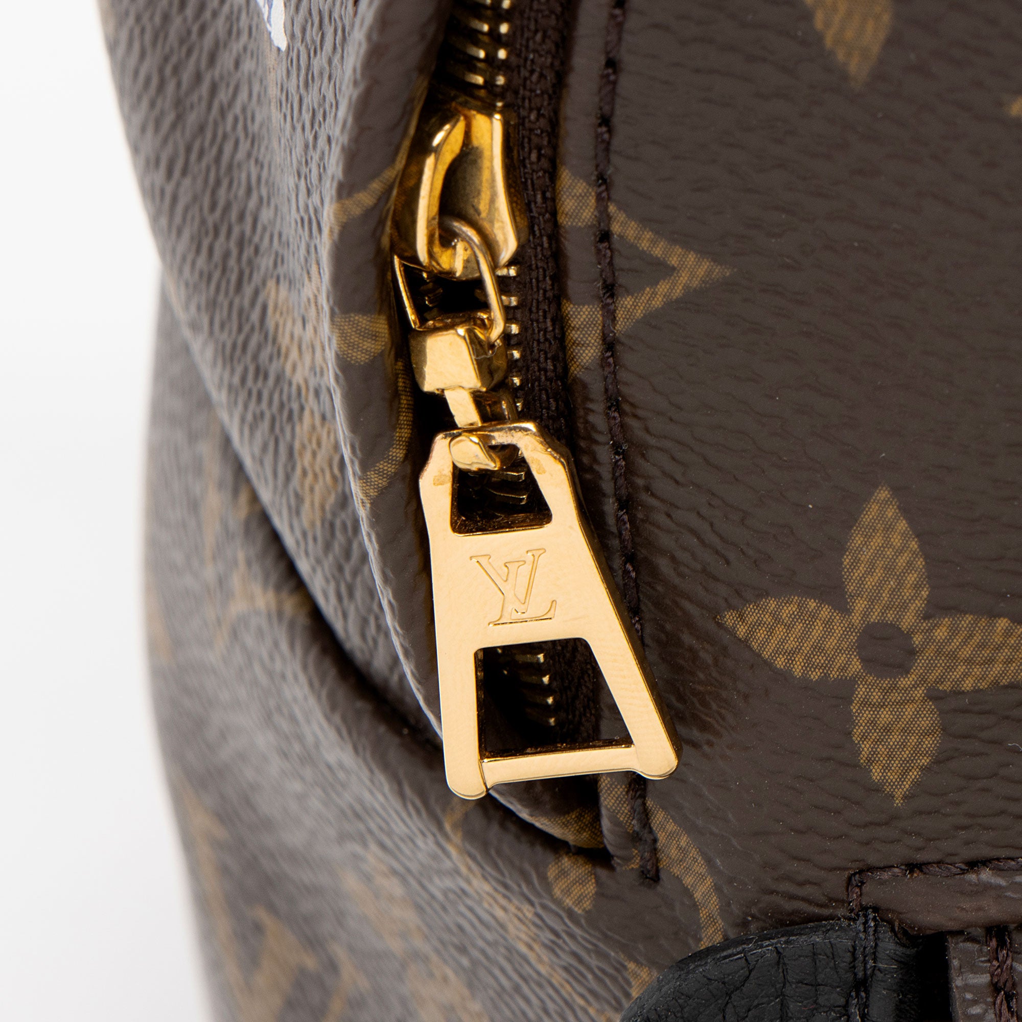 Louis Vuitton Monogram Canvas World Tour Palm Springs Mini Backpack